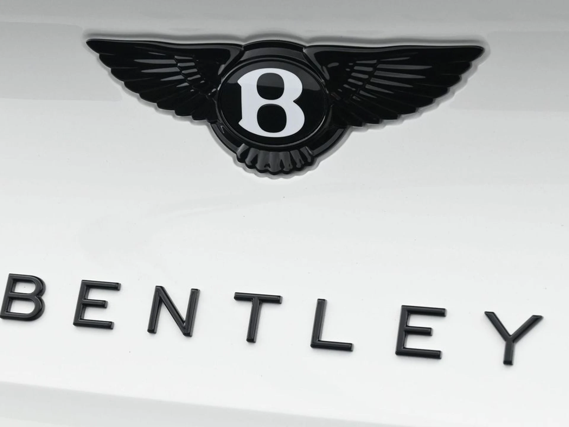 mph020_177002881_6b79ce80a8b38fa8858a434dab64b2acx_fcbc575cfb