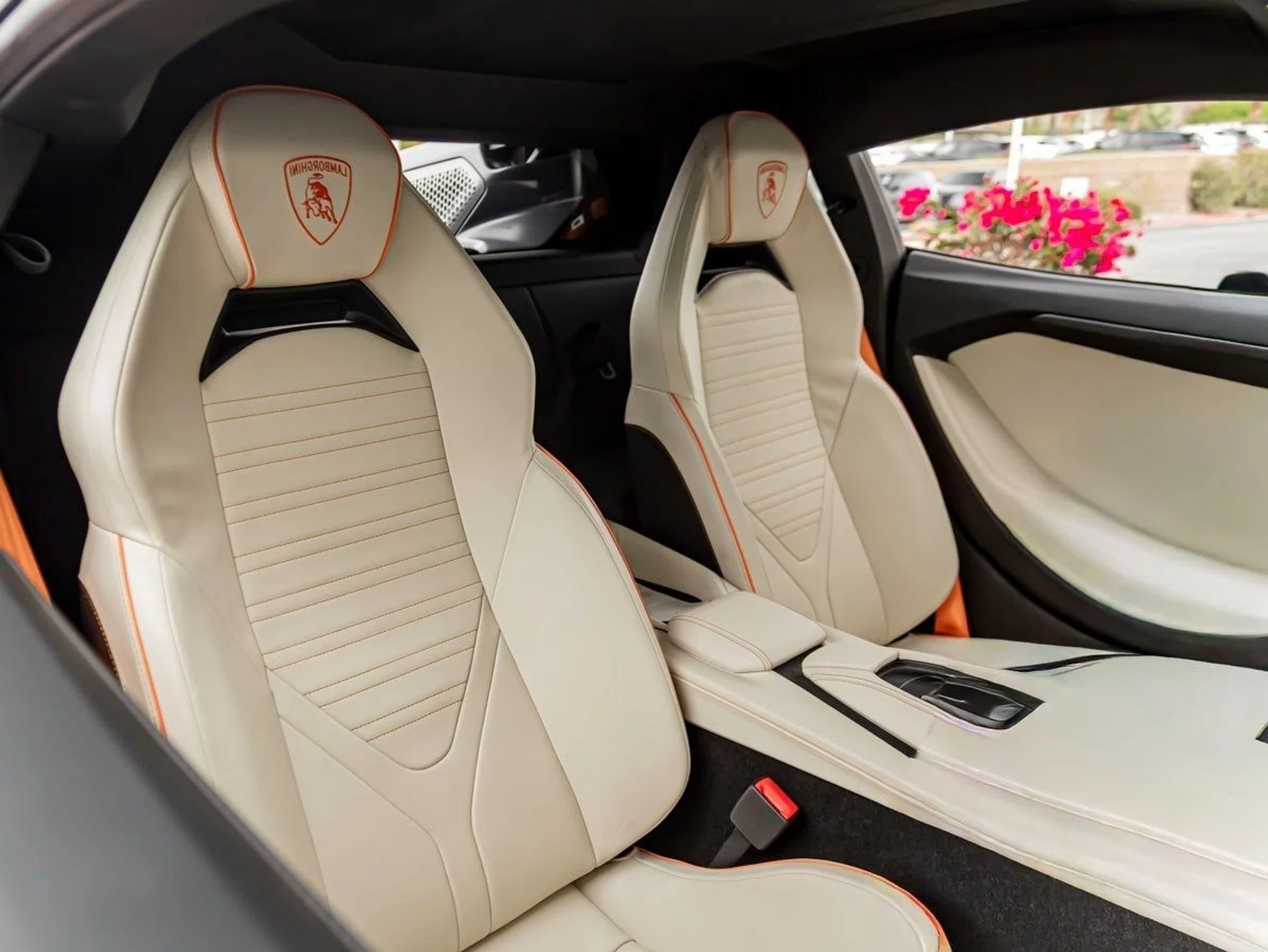 mph020_204181378_21_242fa75d8a