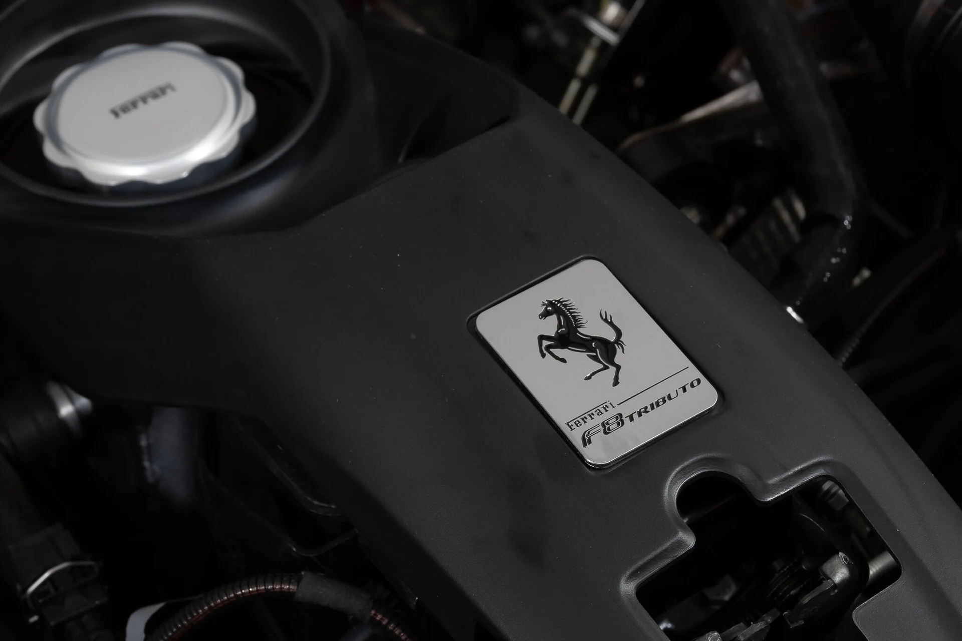 mph020_2050951049_f4661da12dd157a67d73bf544b7f624d_c8b15dfd17