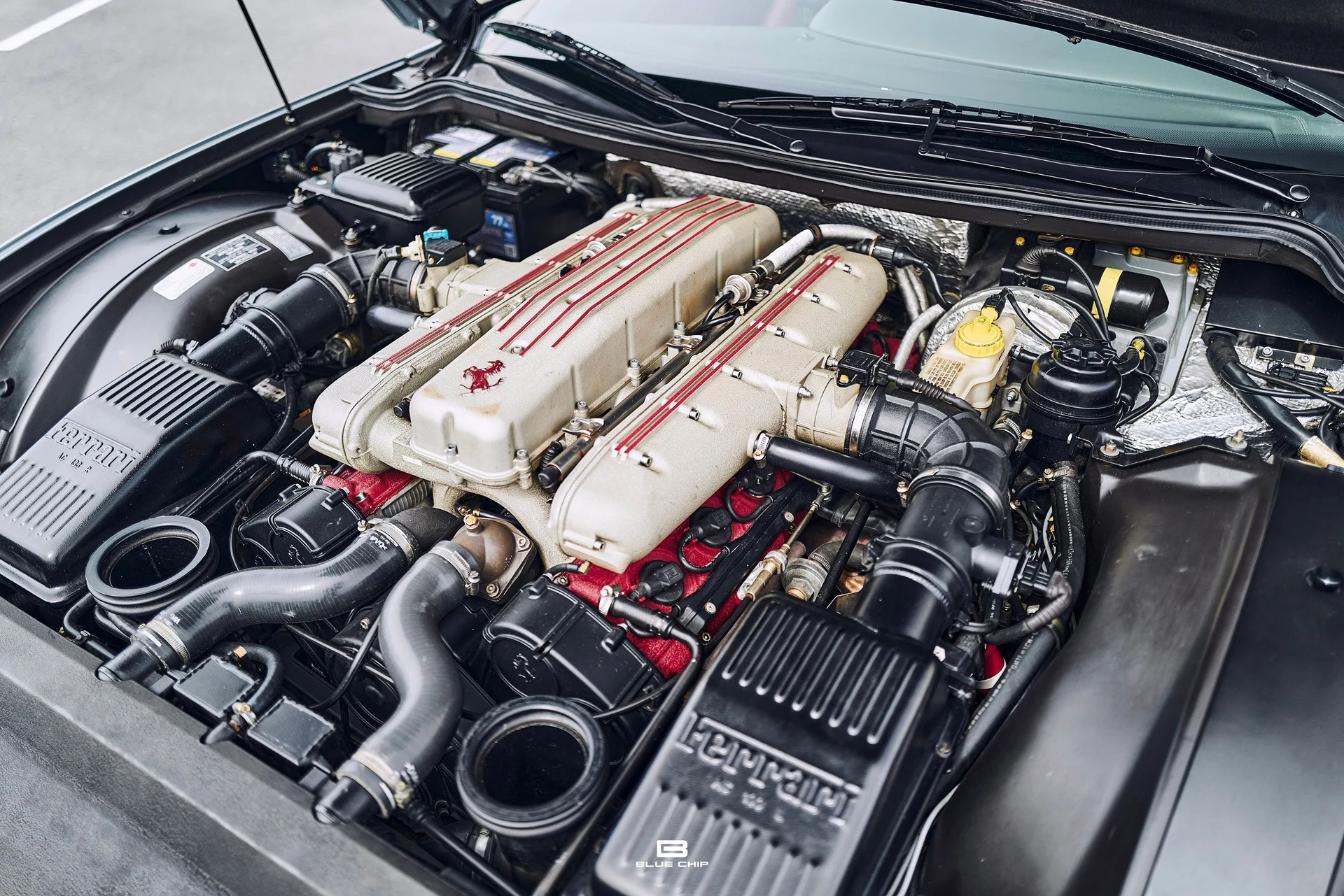 mph020_2090052807_69b474a6c42f9fdaad26586a_L1190486_69d4da05fe