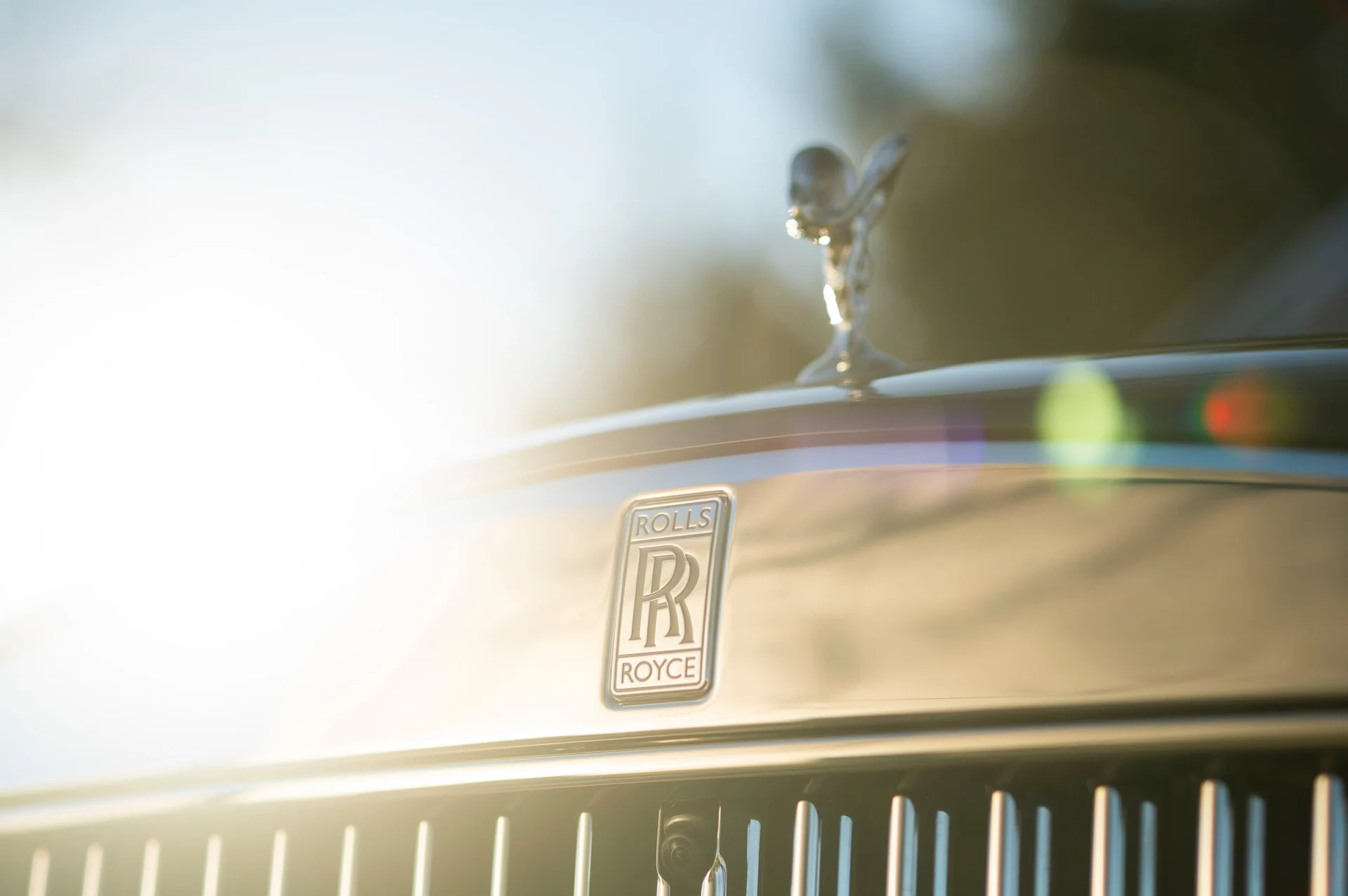 mph020_209489218_0e4c2fb45daa4a6f9197827a88fab5ee_a0321ba45f