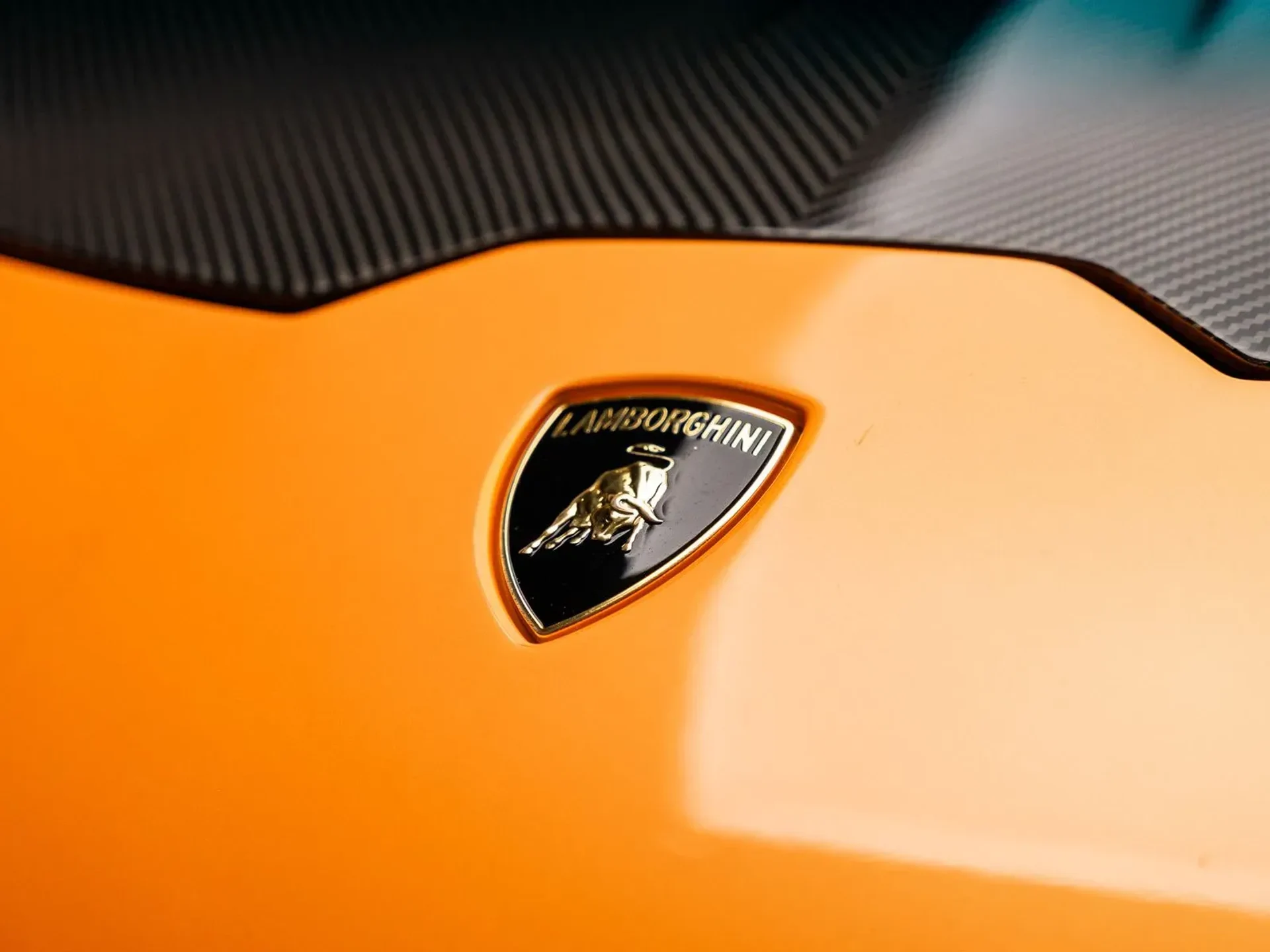 mph020_2204450417_366e6a27_b3a9_4fea_adca_d1680f49bf73_f27d80dff4