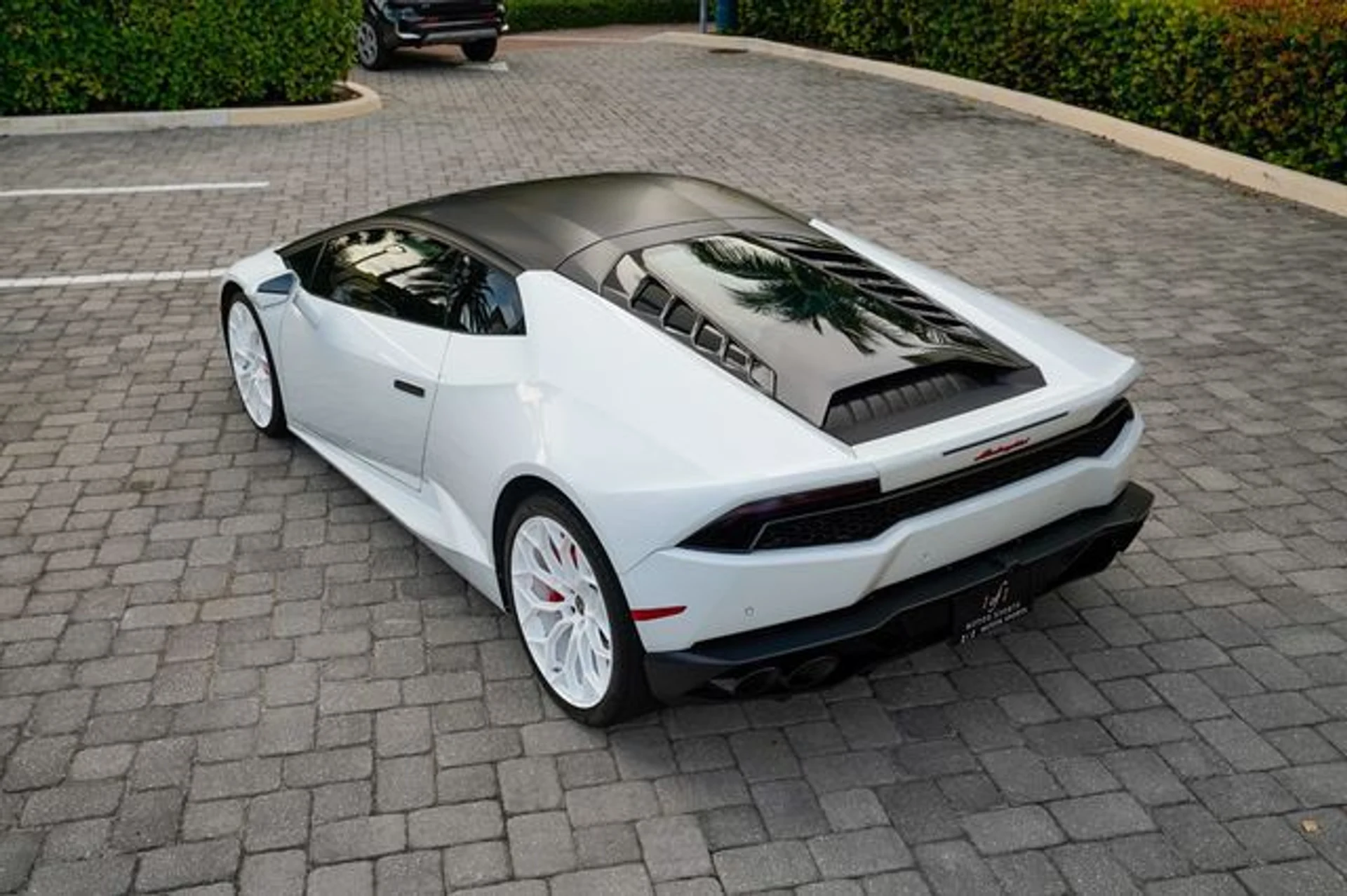 mph020_2207945731_22936606_21_af620fe267