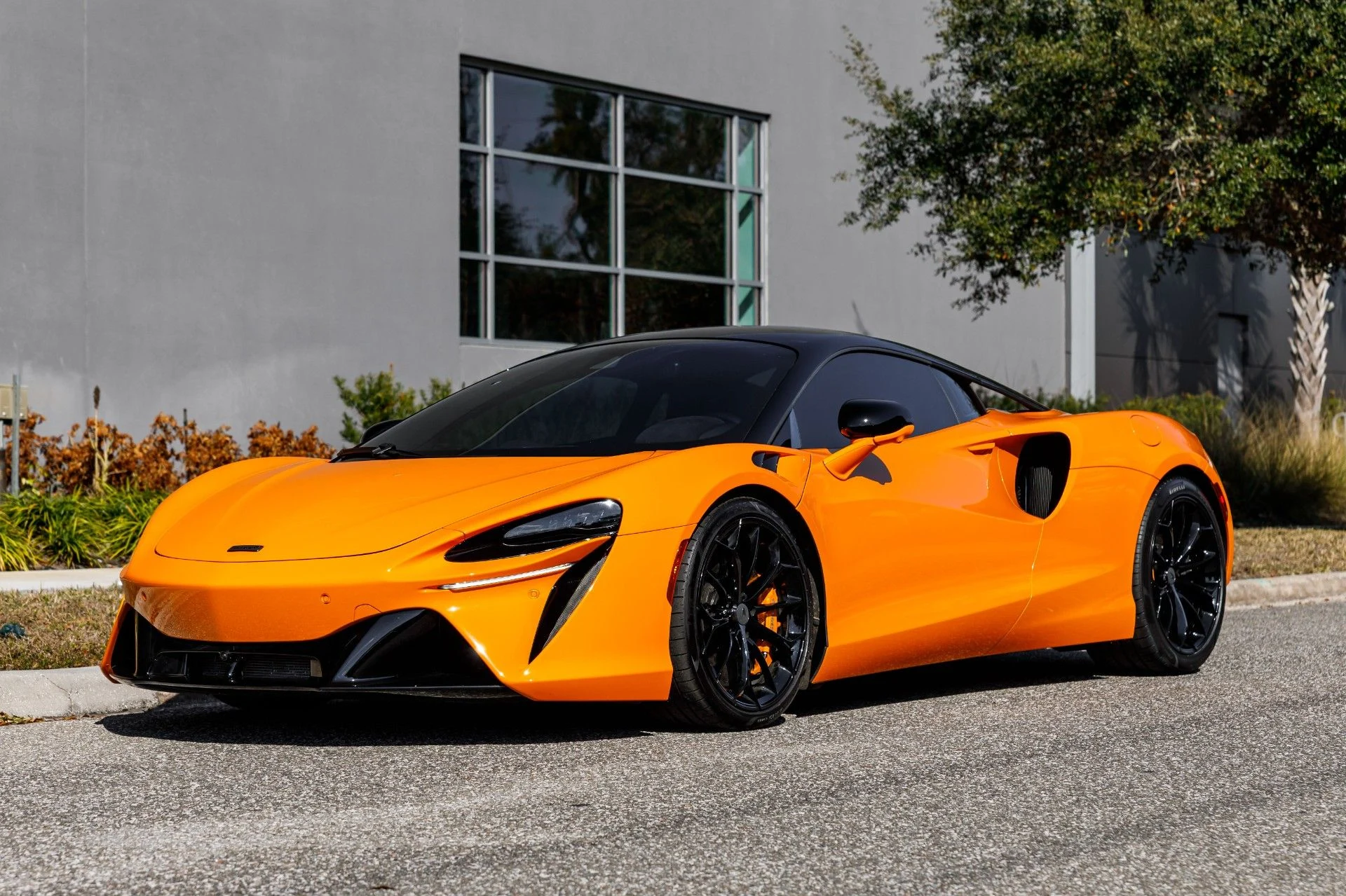 mph020_2346770265_653_p21_l_56c7b10dbc