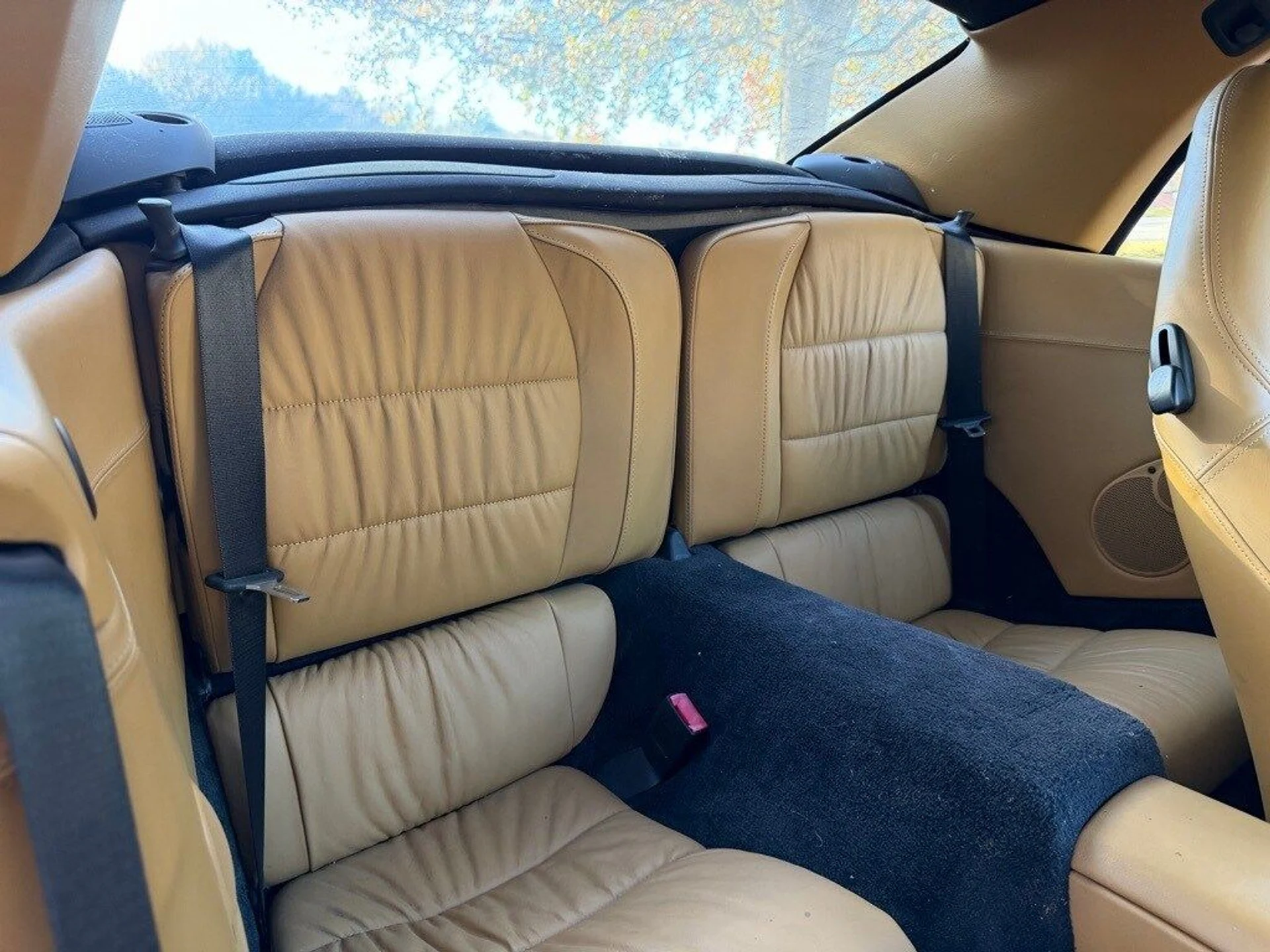 mph020_2375120331_dd5ee9233fe8957b1a6290ef62782310x_da3eeca4e9