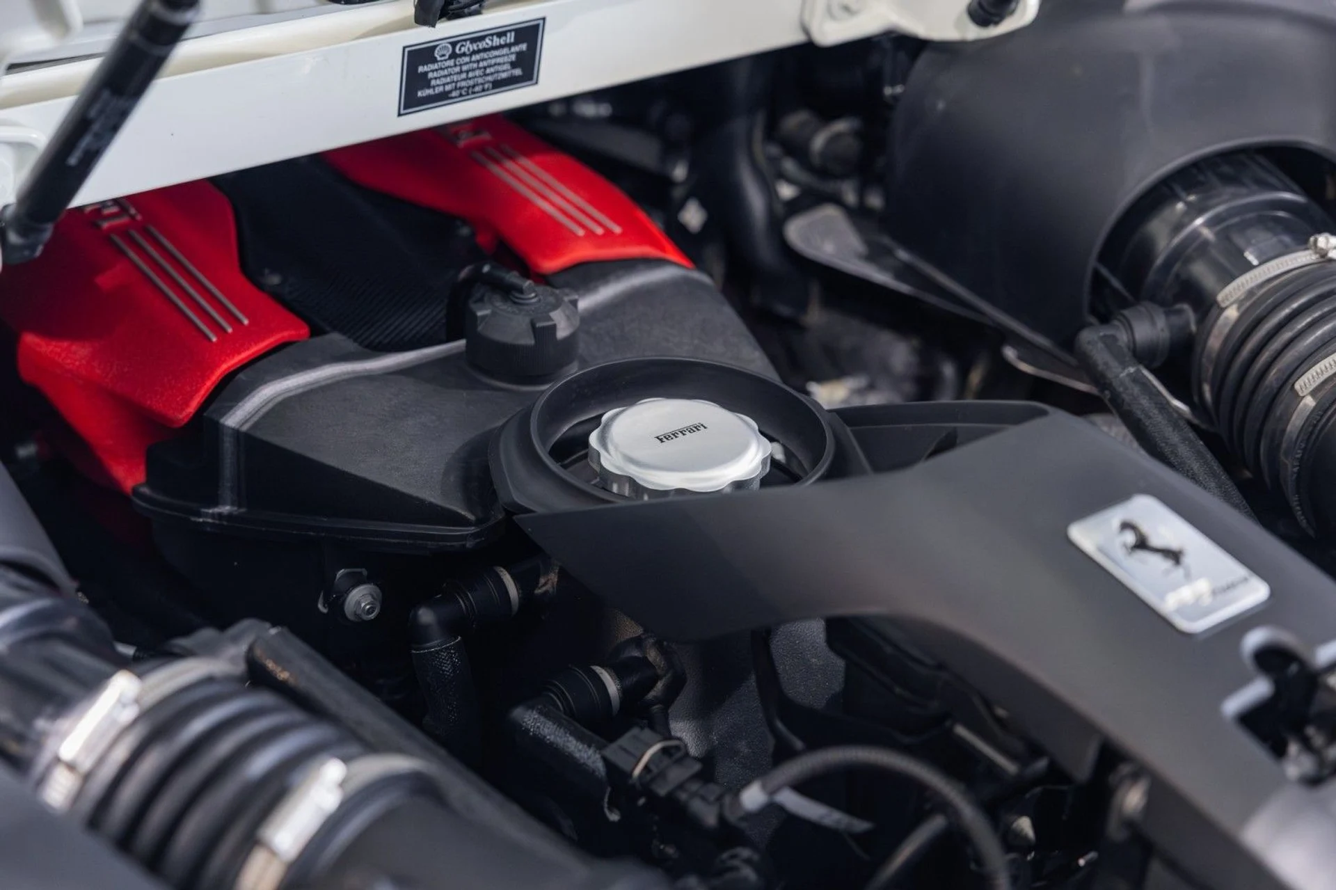 mph020_2382483913_iw_810c7880e6