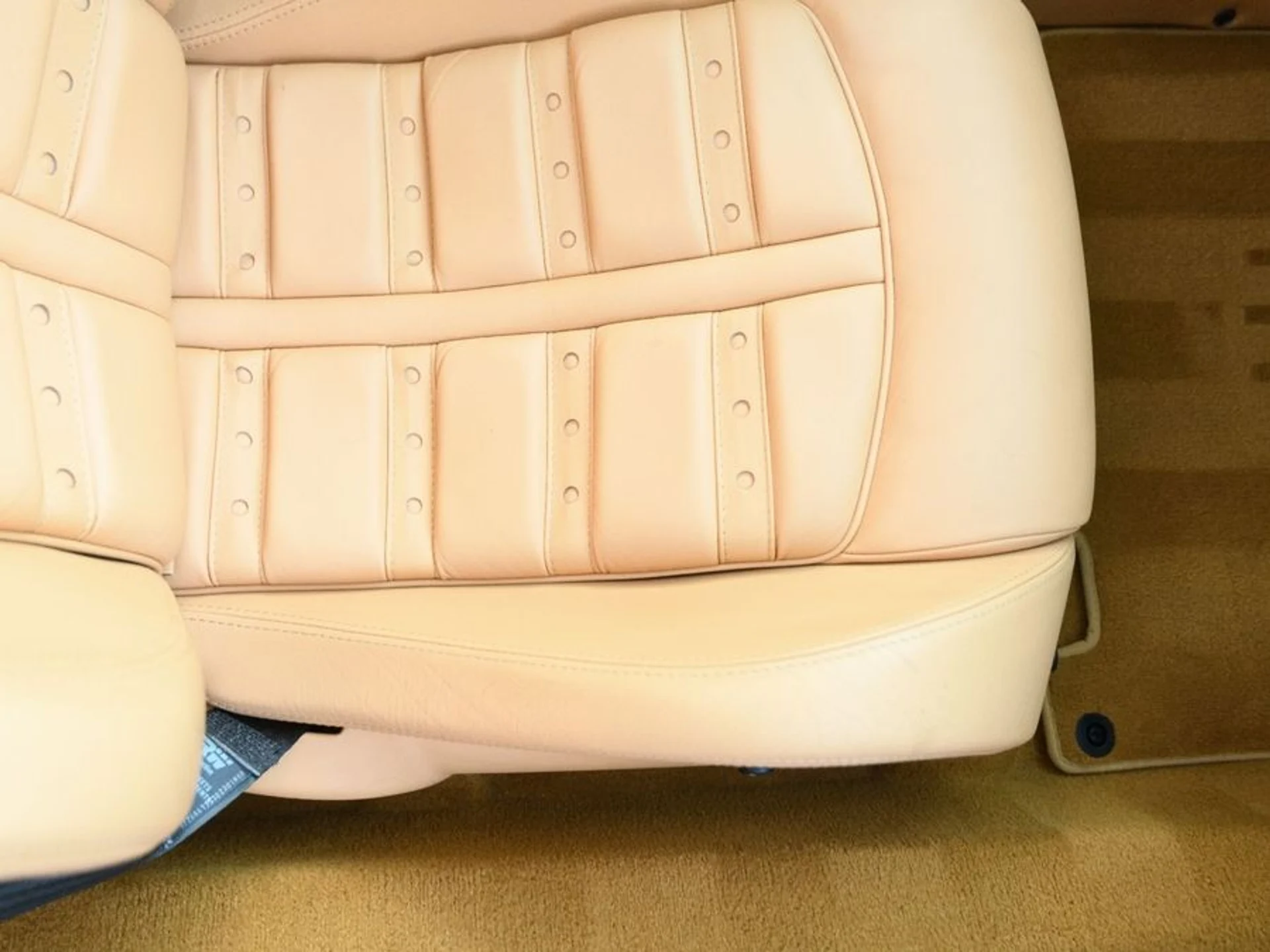 mph020_242678461_3363617c_9bf0_4abf_b5ef_9e2883e232f6_70760f4e5e