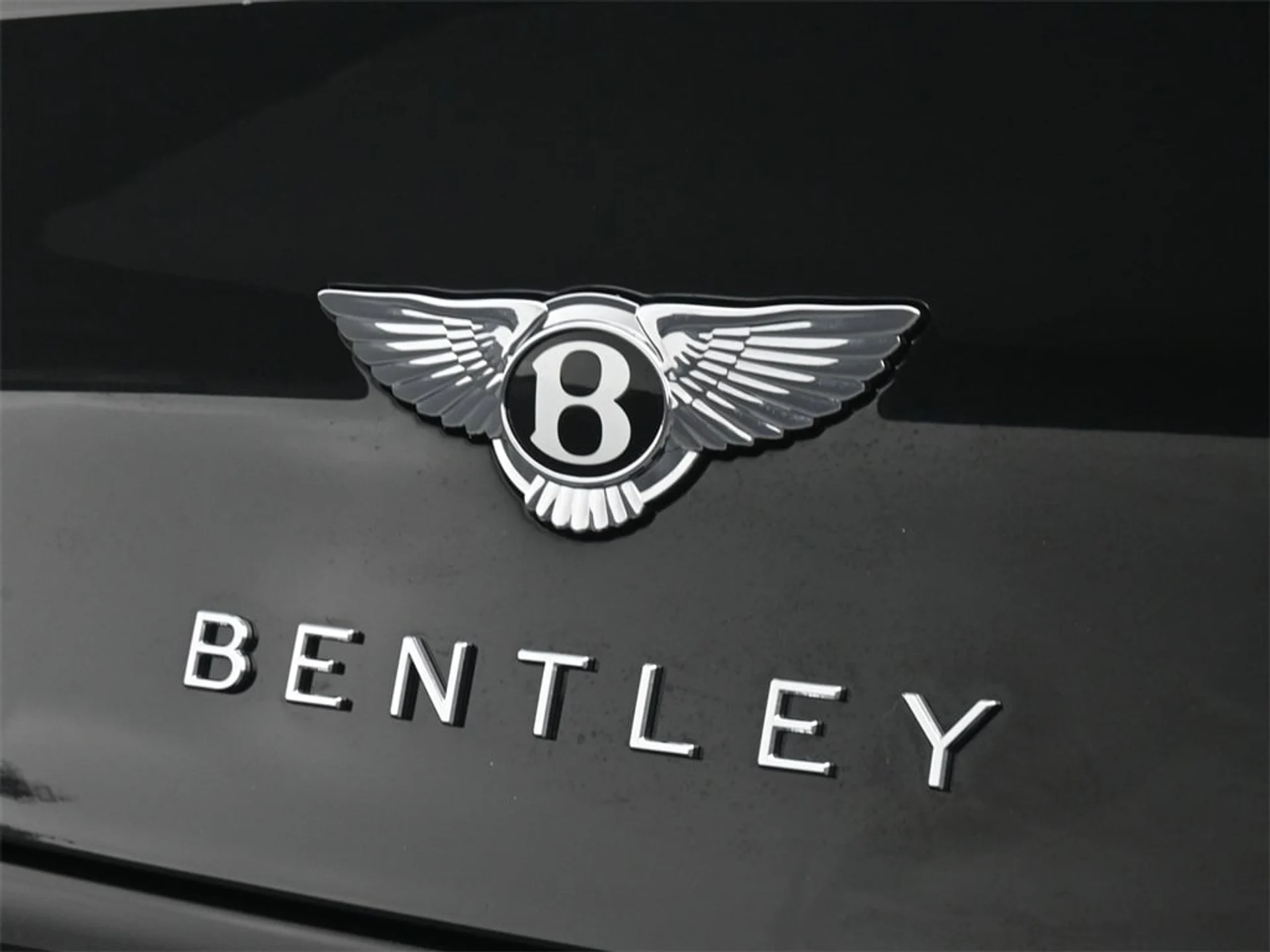 mph020_2489787694_95416947a1eb9910e8c2ee895f1e8055x_fa9ee3d640