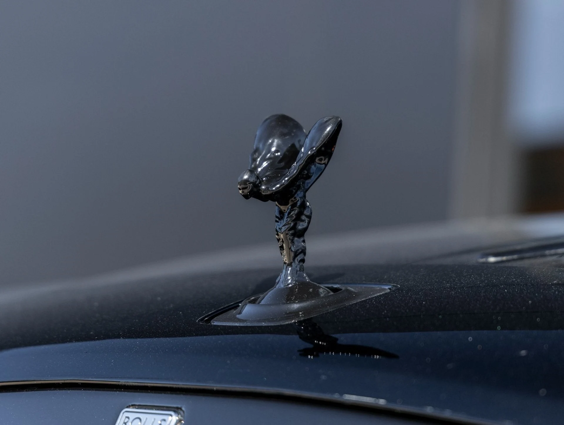 mph020_2609700081_21_65b2edf89e