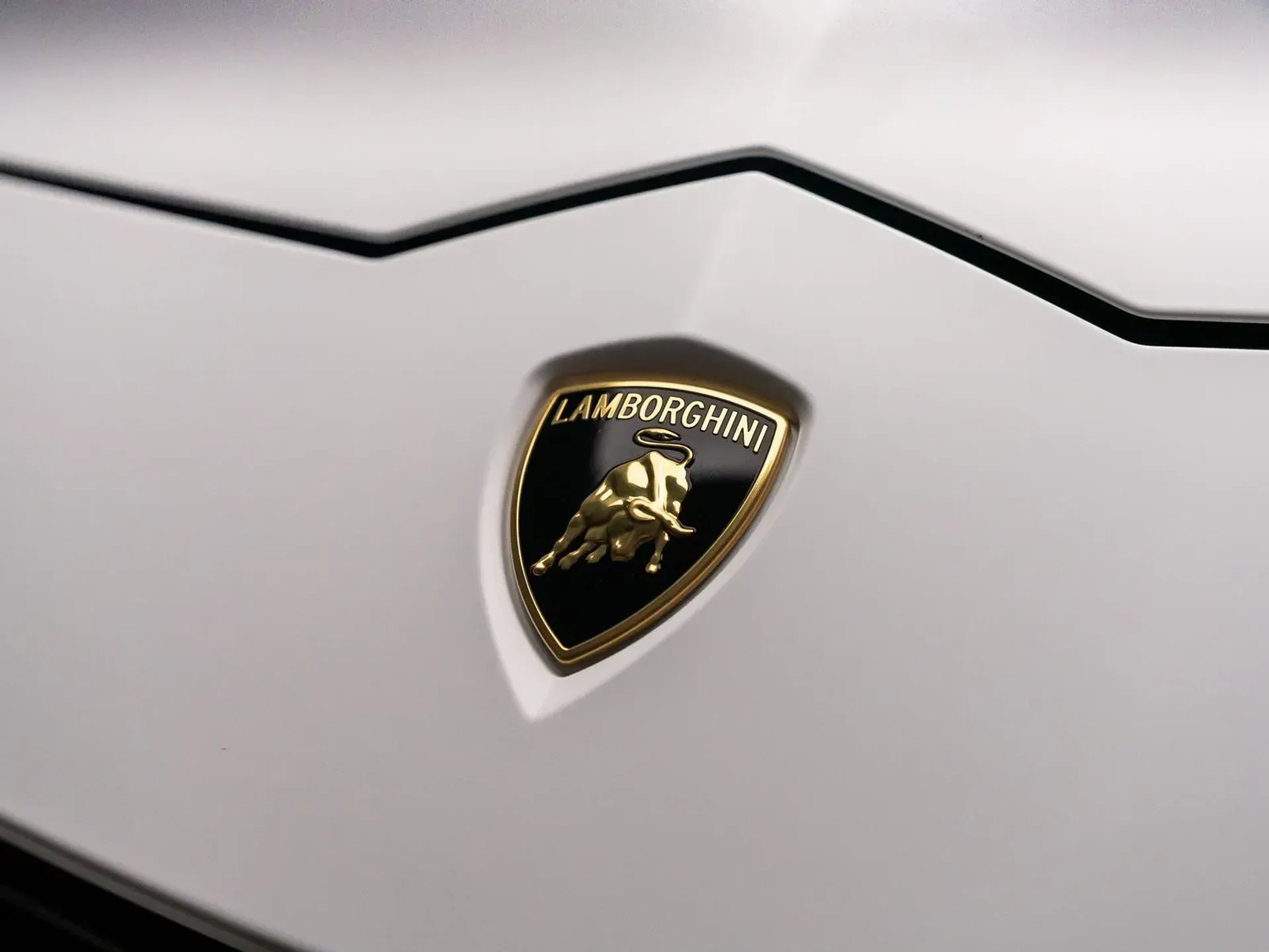 mph020_27879199_99d68435_ef59_4bce_9fe8_75e353c7c9a5_56f7f7025a