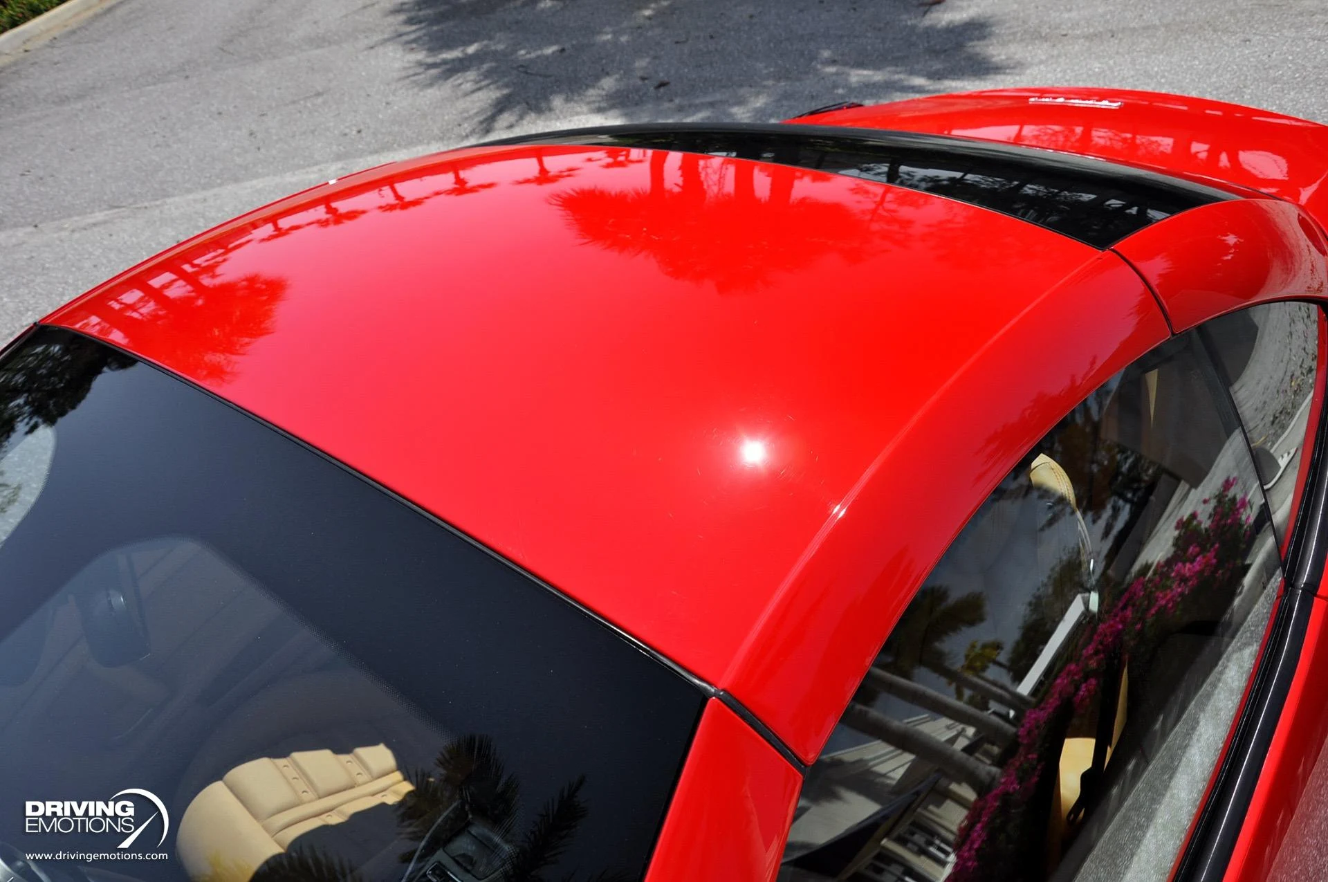 mph020_288333830_505_p21_l_70df7d8834