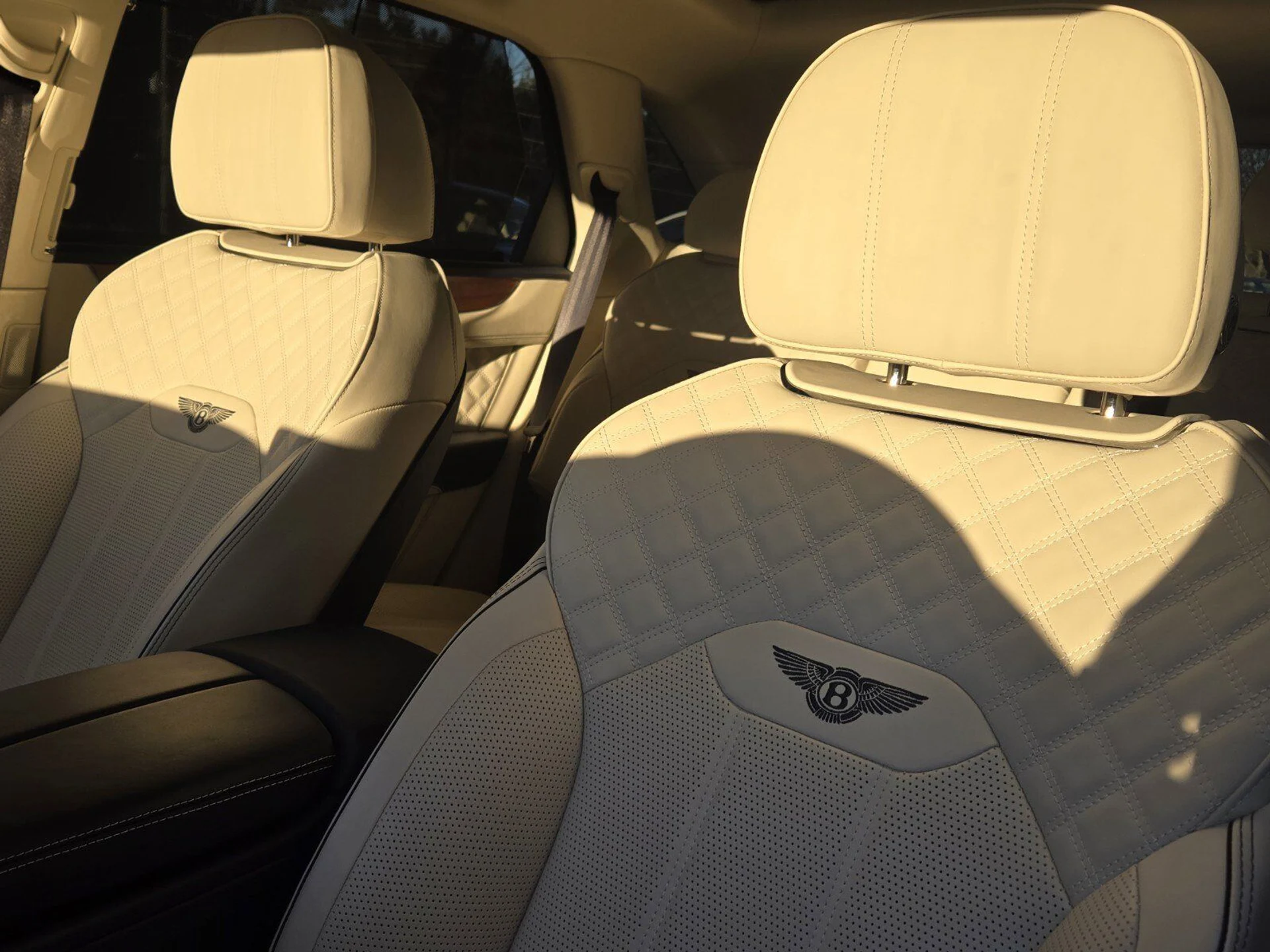 mph020_2953782733_7cd767d7110abf54ce079c590d0bd687x_739b9ec0e8