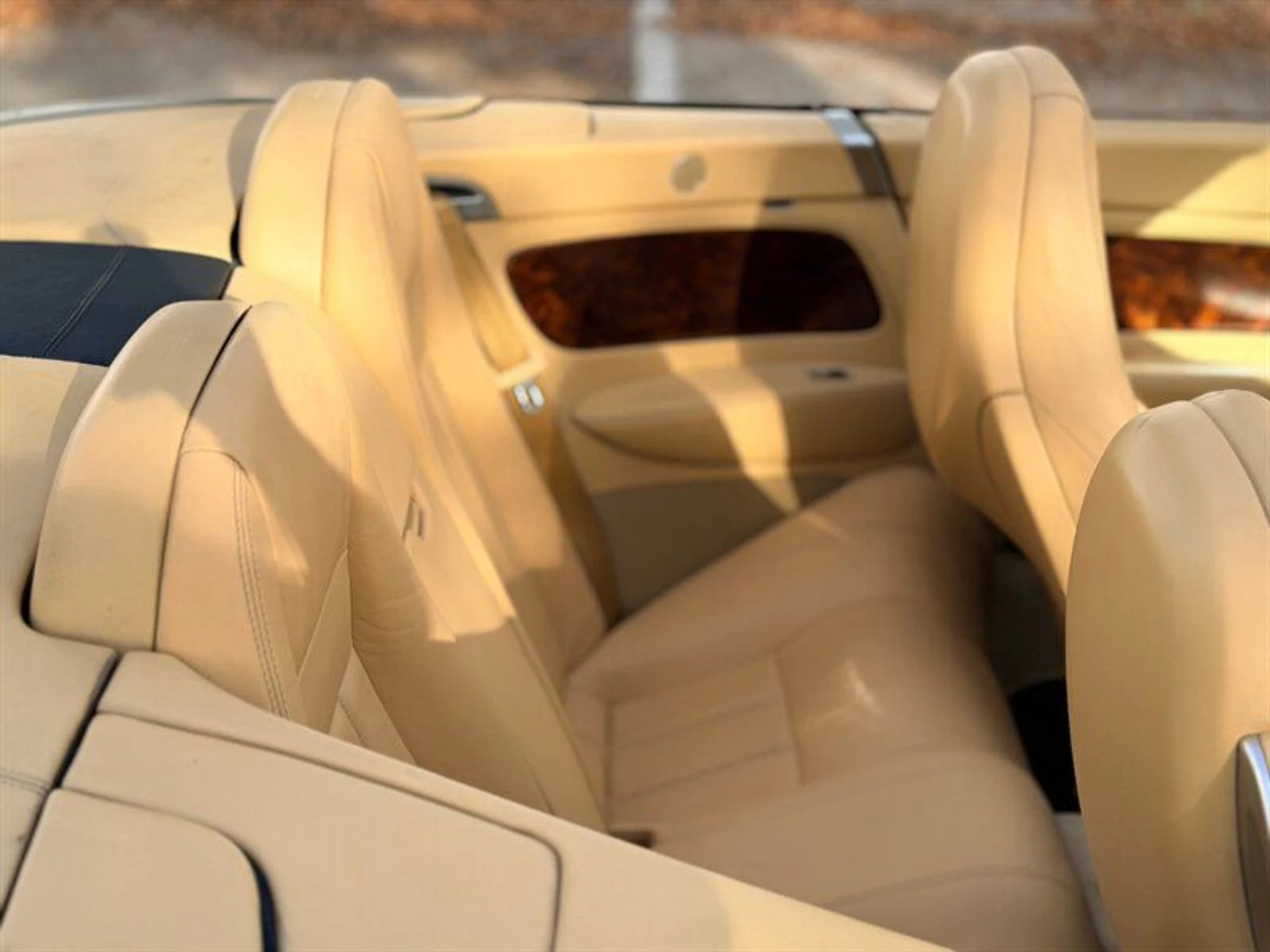 mph020_2972577721_2a5ead27a6_800_e5c64d3fdc