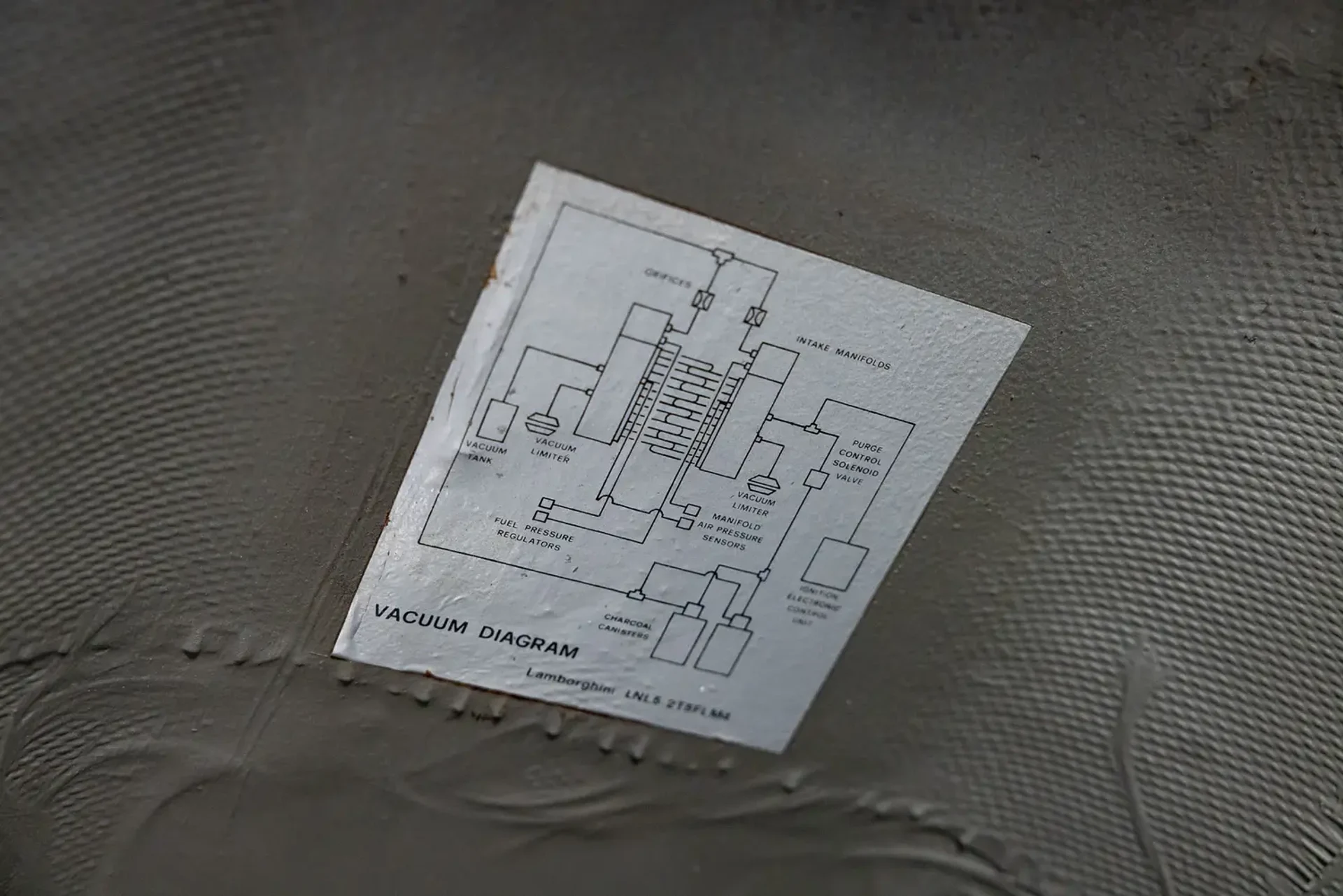 mph020_2993049715_69afa6d59314dfacc6f4c49c_gallery_image_20_1773119179362_c78de738b7