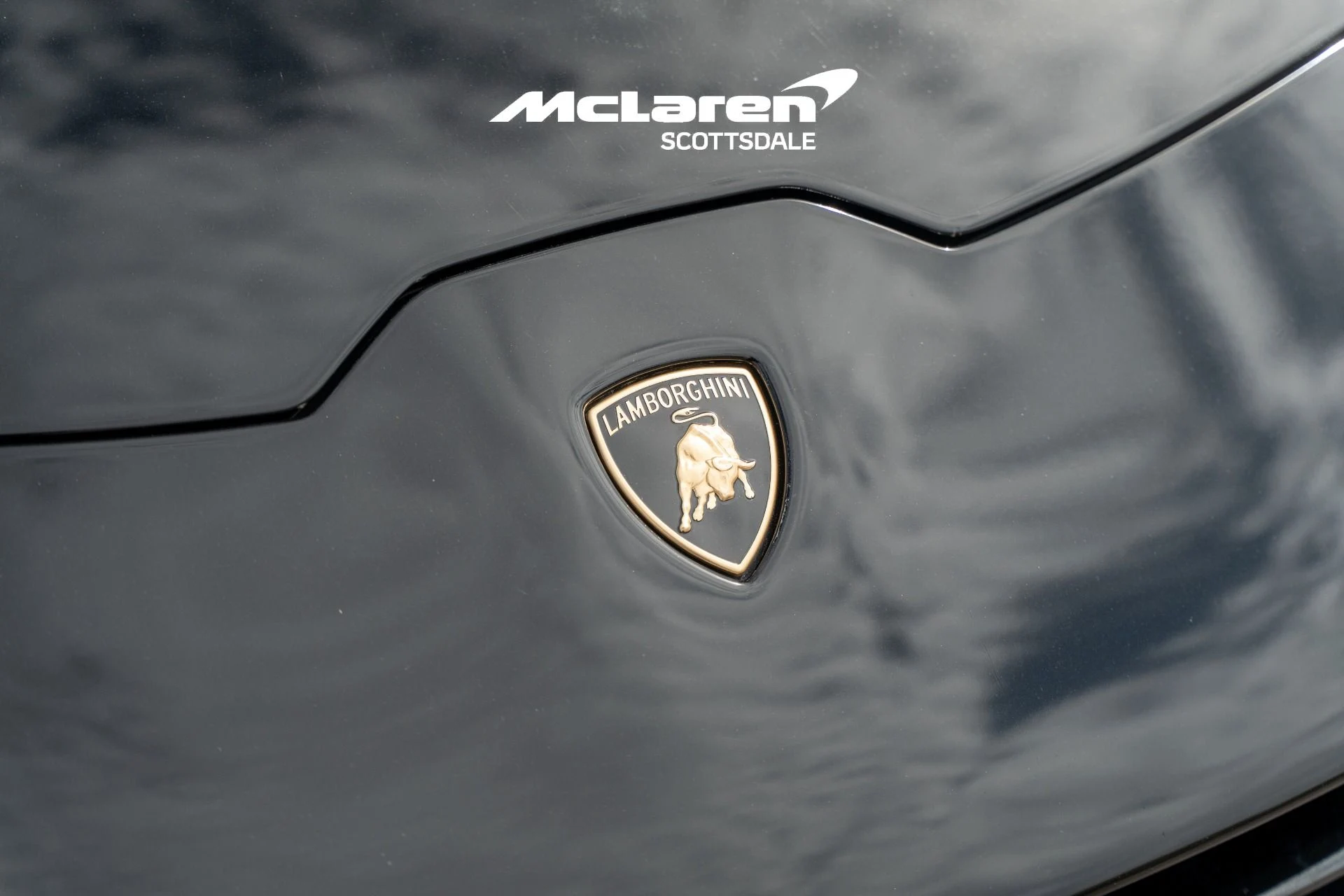 mph020_3060748718_Used_2019_LAMBORGHINI_HURACAN_LP_640_4_Performante_Spyder_1786127047_5077d70f68