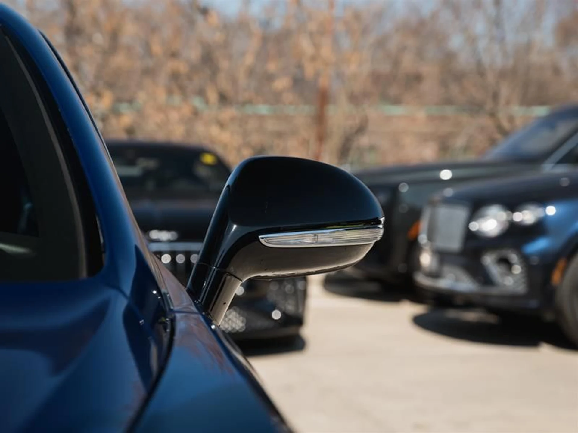 mph020_3120973595_omvigv5a_1abb052b38