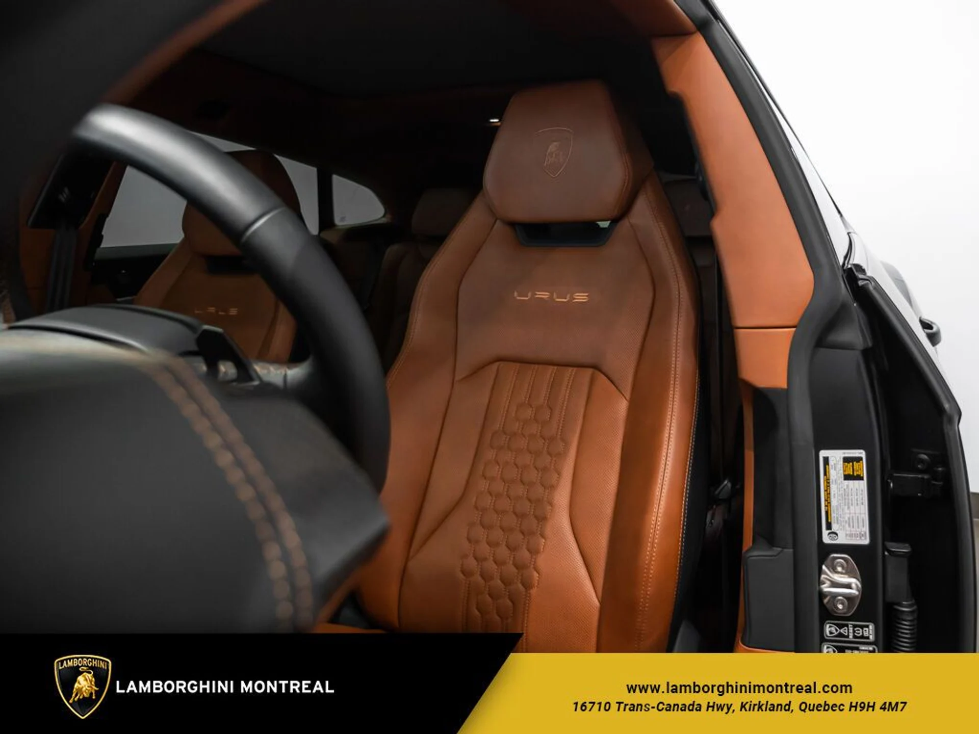 mph020_3140481079_65130d1e711e17_90329536_jpg_v_1774035556_1978900501