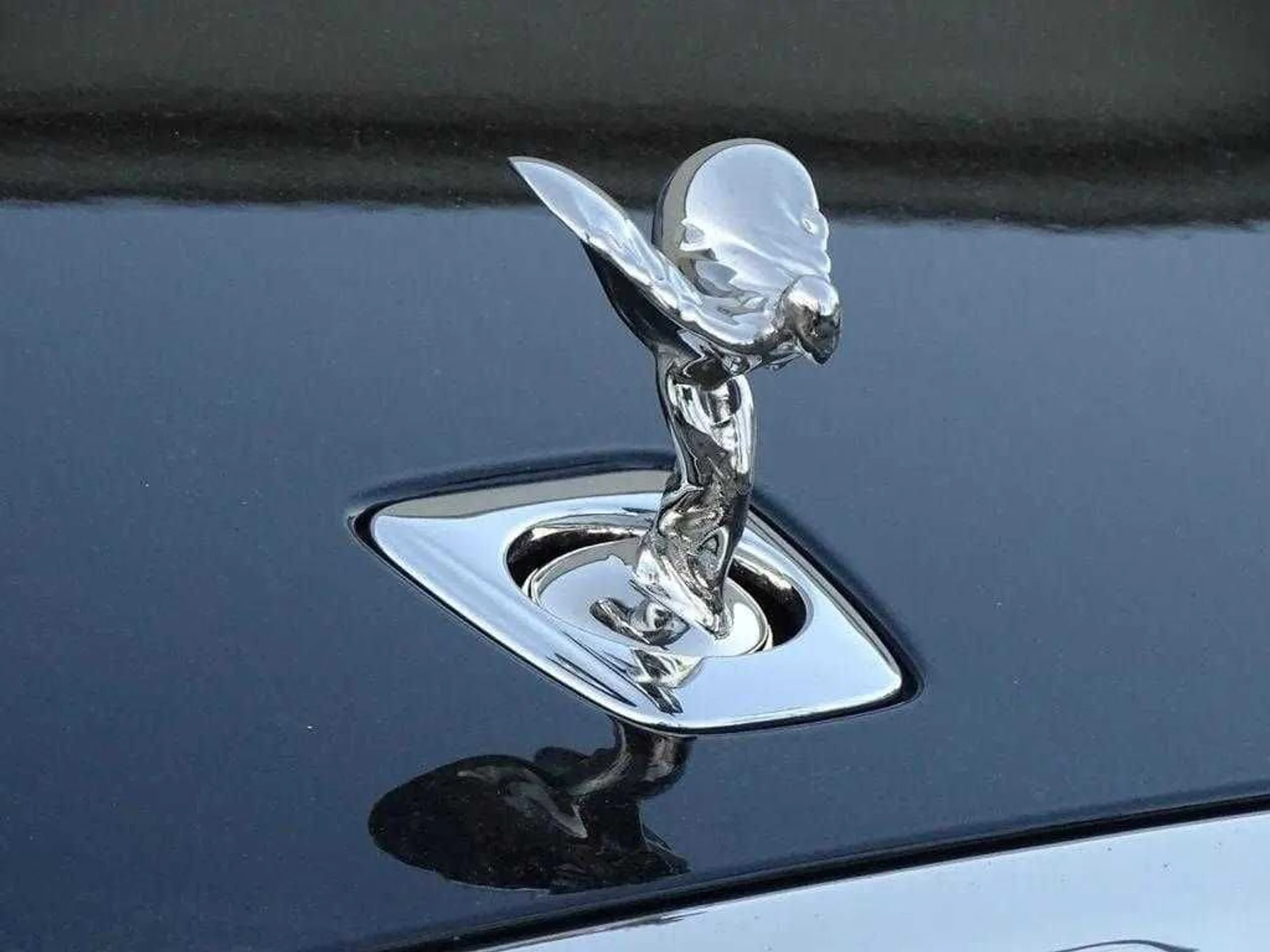 mph020_3196957522_751f18baf8cc017f3ed91128116d88b1x_a306d1831f