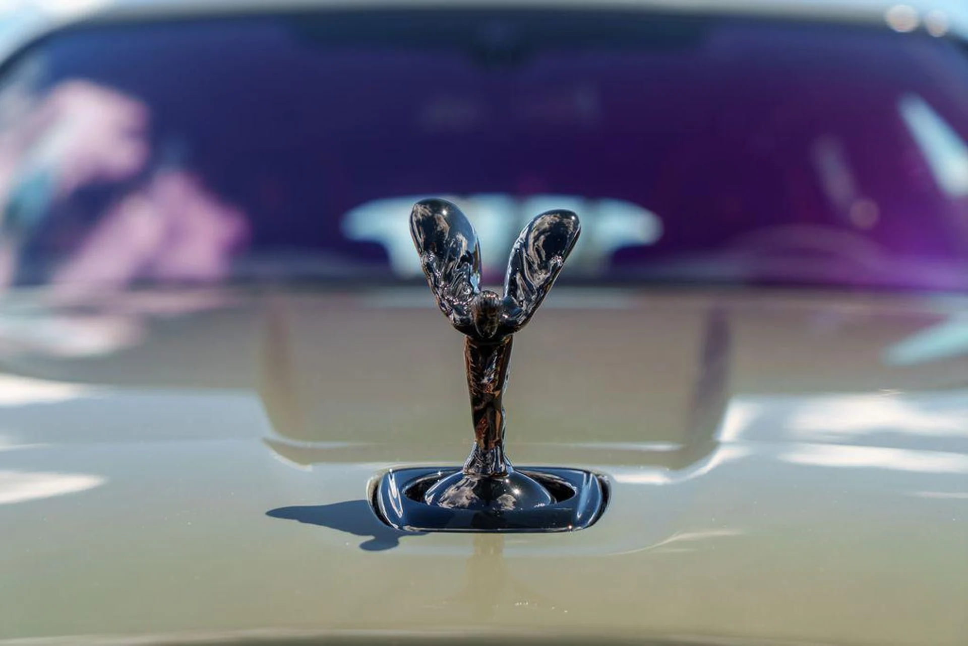 mph020_323714677_4h_Xs_42vw_MR_Tt_E_Js_FX_Zap36t8g_954e938b6a