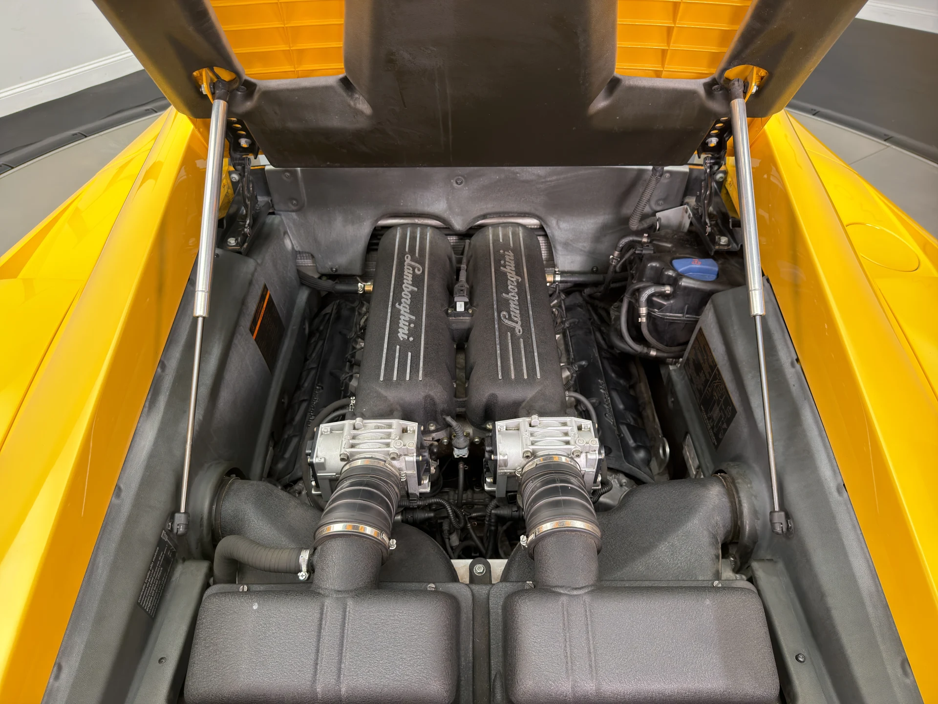 mph020_3338961382_001_mrmkz6532zvc_f61f80de60