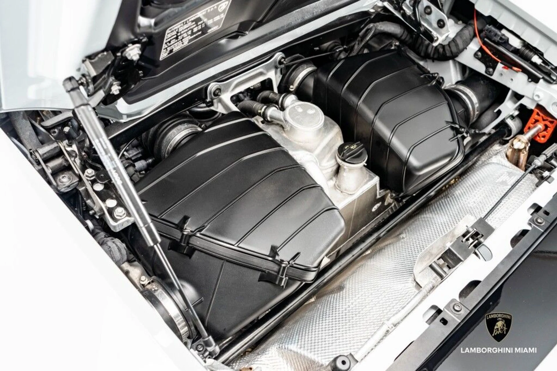 mph020_3375842904_f50ae6dbf1434a5ecb1628409319b4f1_eb92e33e5f