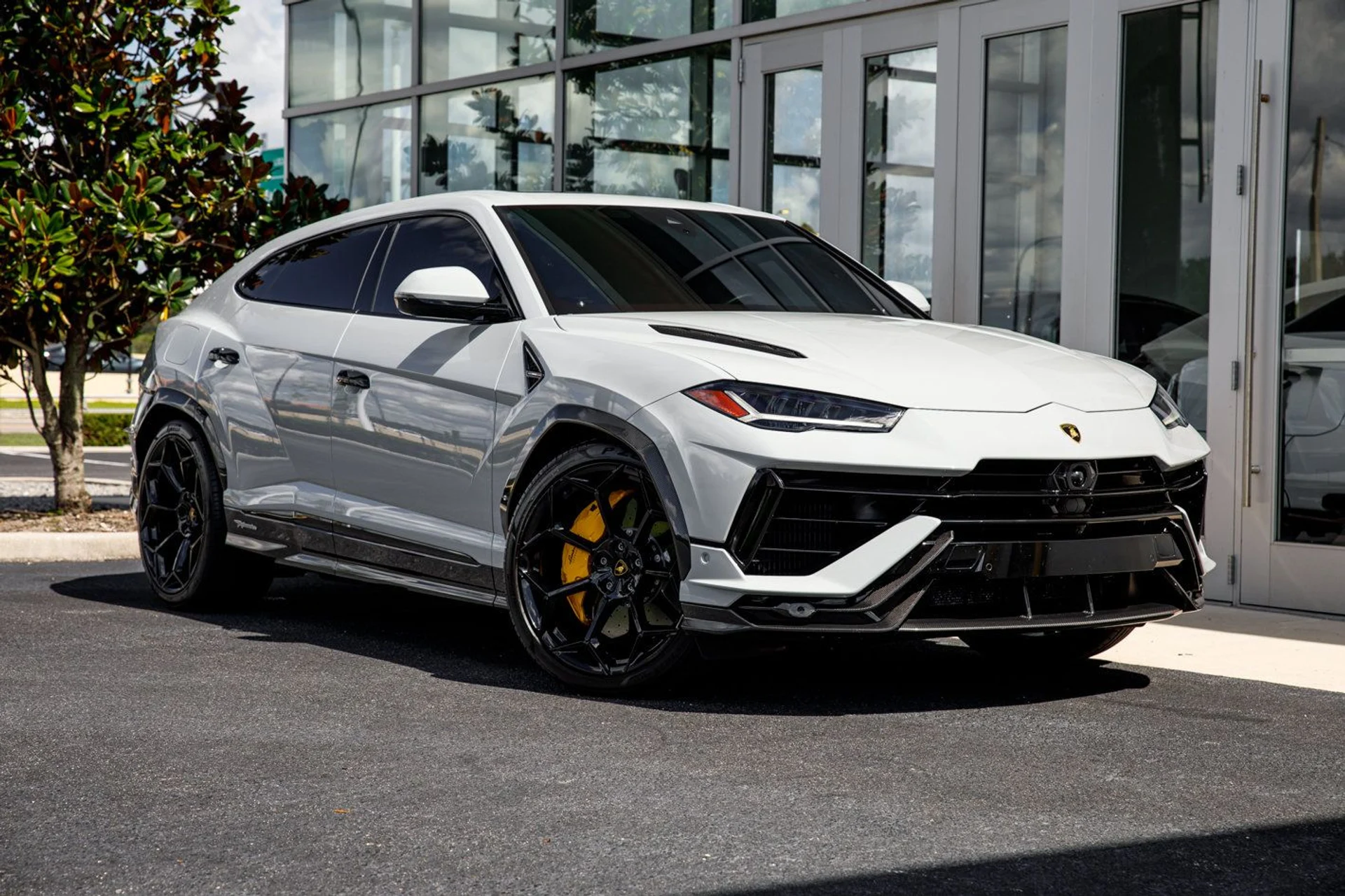 mph020_3390630844_50d2e15001327f00d94b165c8c245d8ex_c20f55929c