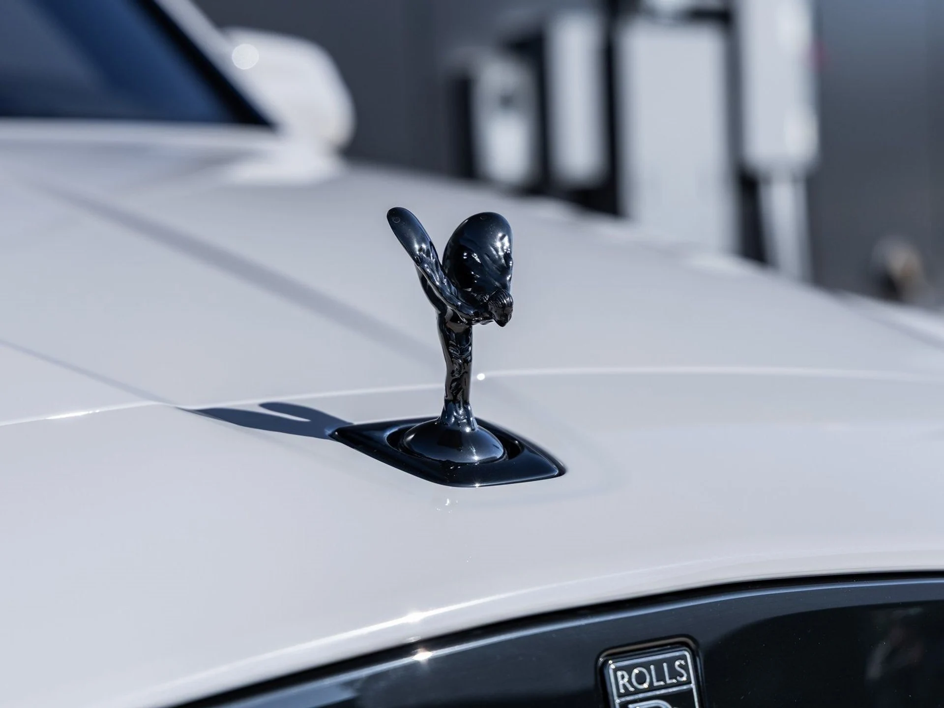 mph020_3392494559_21_a319ce5288