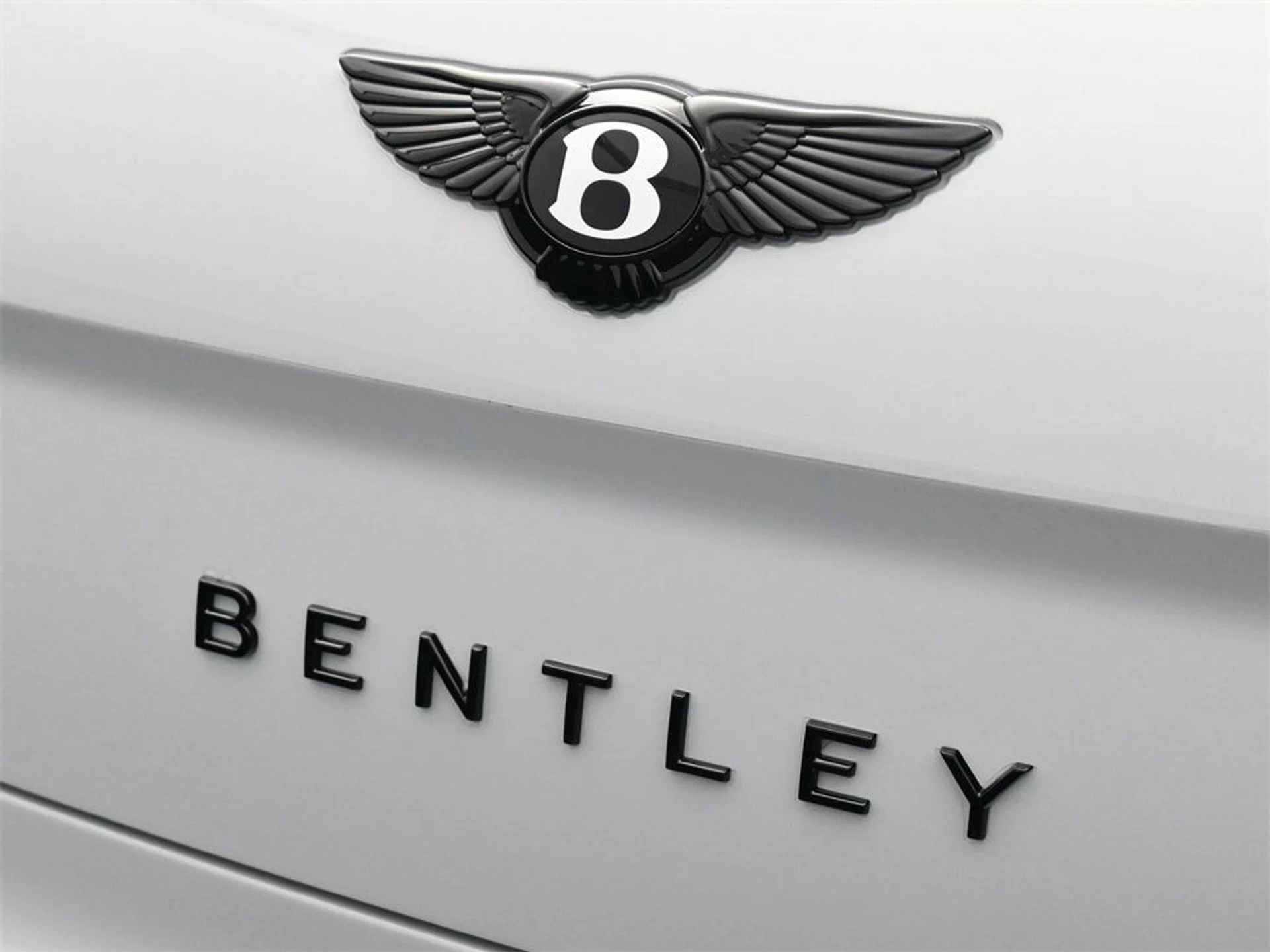 mph020_3402972462_840fcc6288fd36256250768edbb81e8bx_9293cd2687