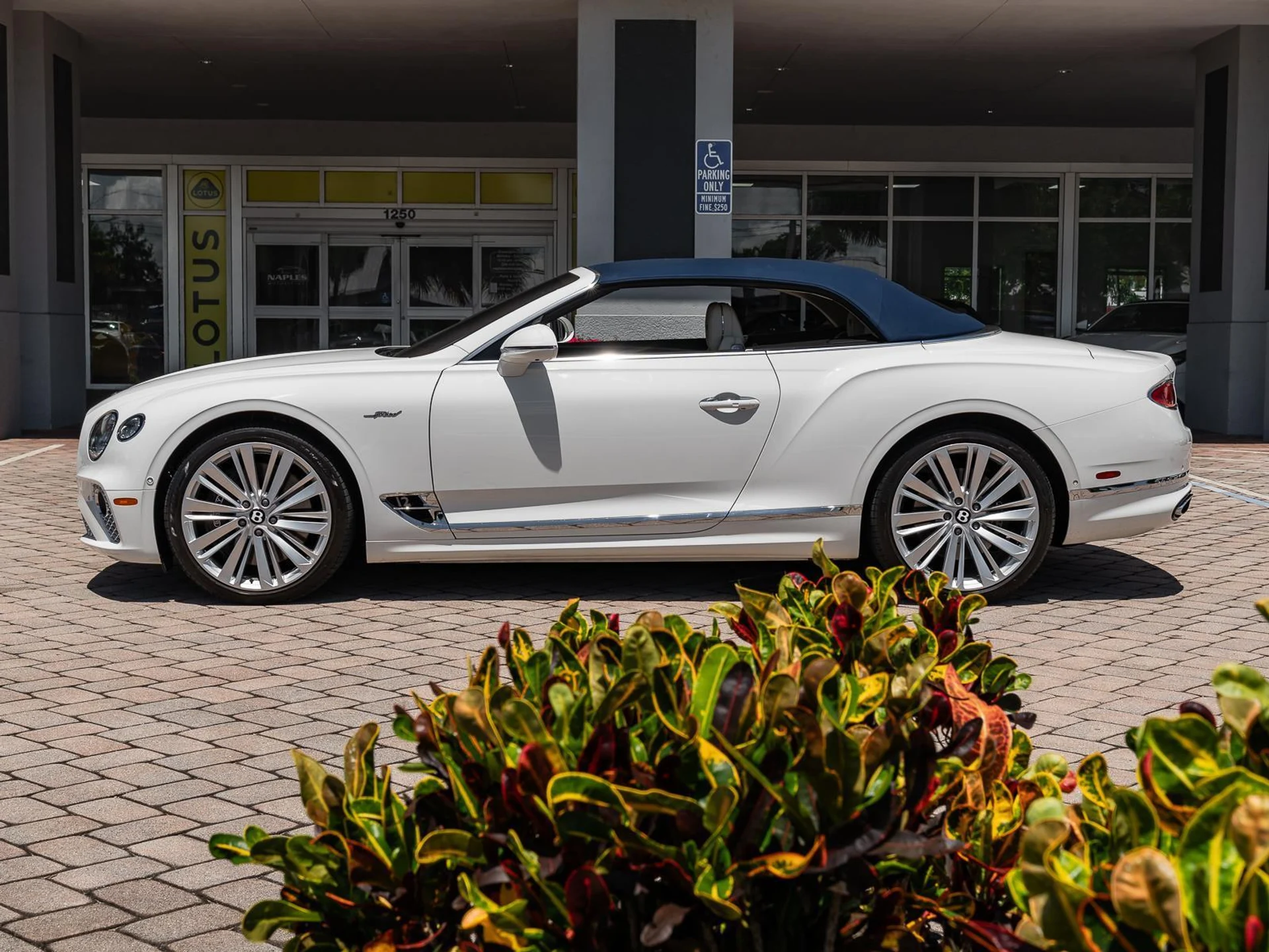 mph020_346323121_Used_2022_Bentley_Continental_GT_Speed_1780952647_d3d595b53d