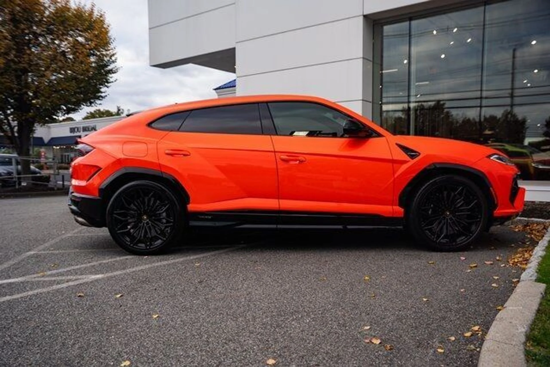 mph020_3489540284_81ab5416eecf98b17ebcc1e39865022e_d7c01368e8