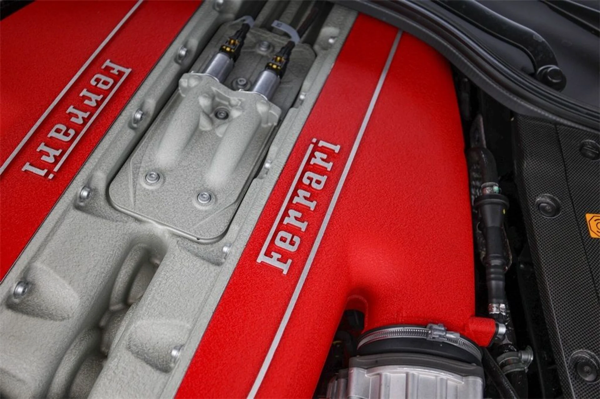 mph020_3551372032_04a3f8df3f32ff4ab120681218096d6e_d8d35d22de