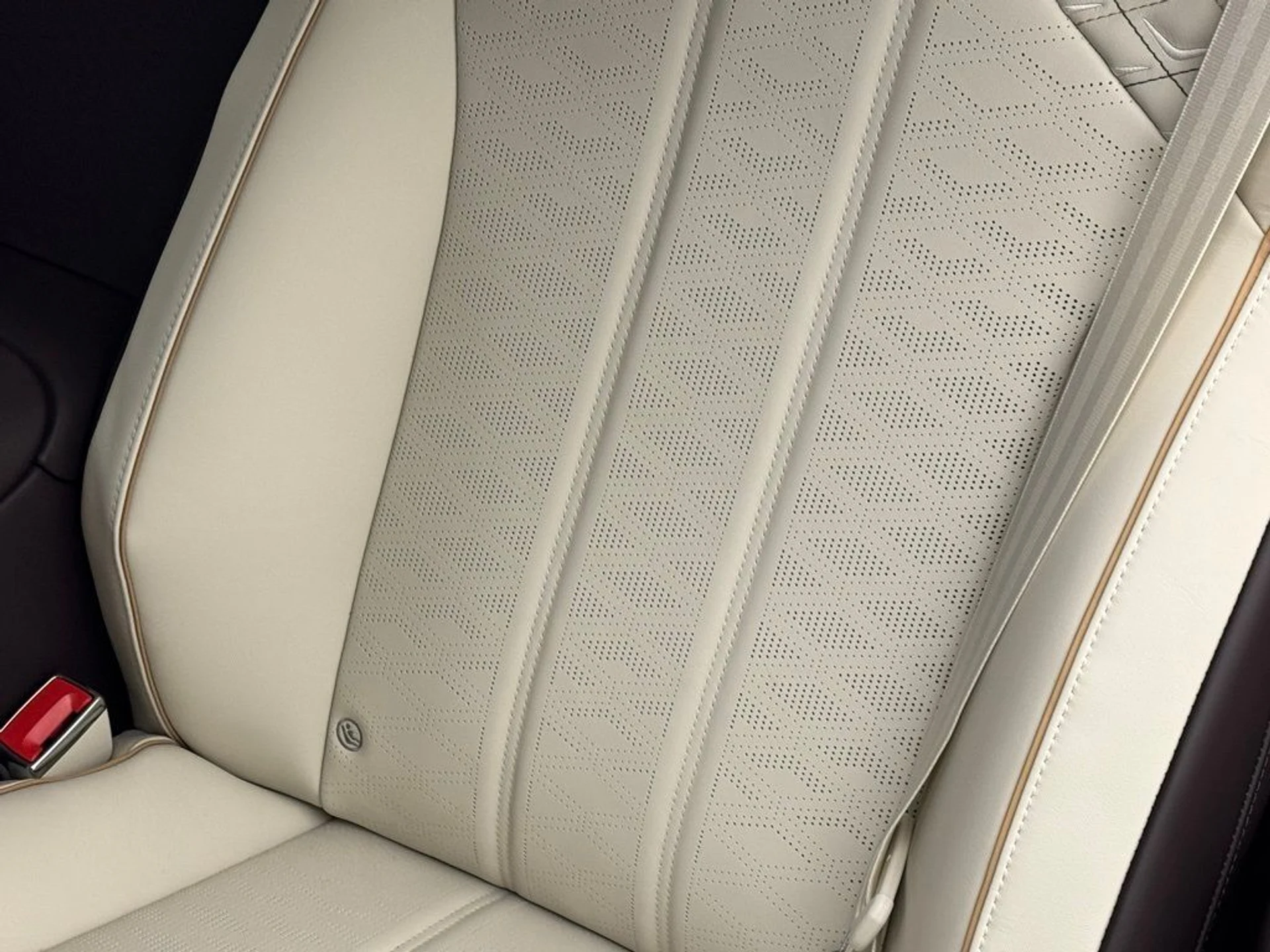 mph020_3931271071_z19413q01fr190bzmxbnsj9u2wcj_402bbe3dc0