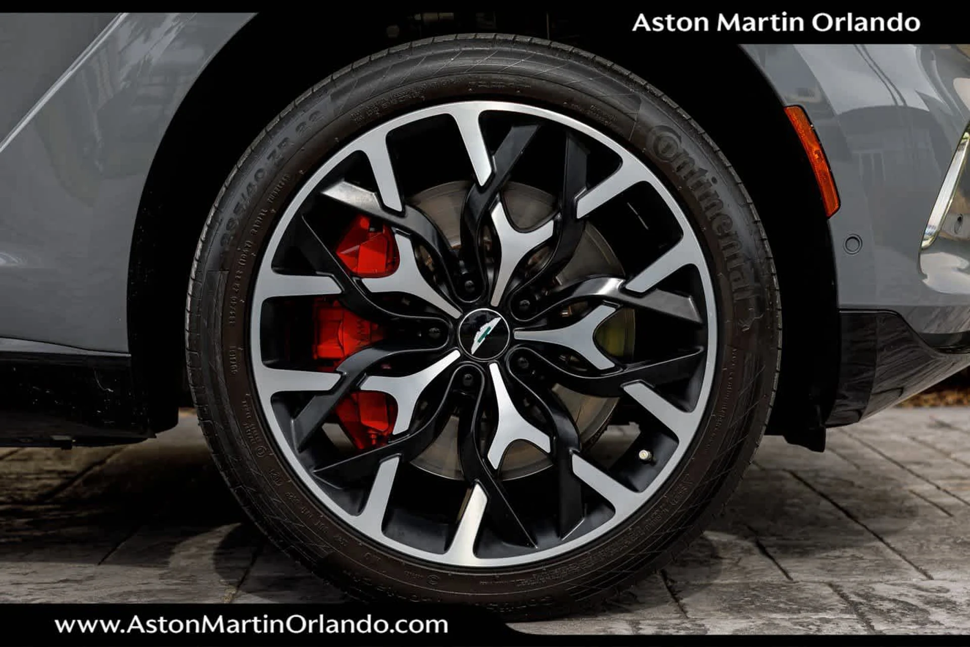 mph020_3990461441_21_1aad3bd800