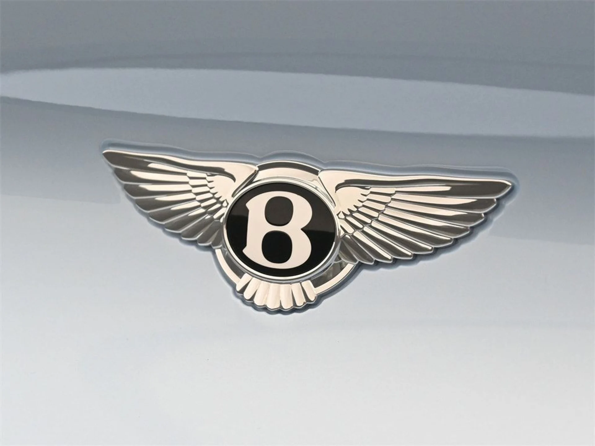 mph020_4033143049_04747b5cd14873a4916cc95d13b29119x_381e73114d