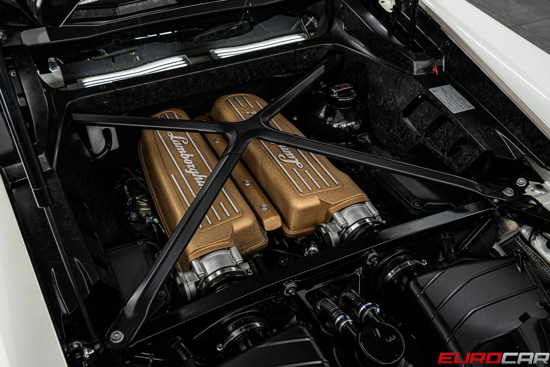 mph020_4063657364_8eafdd8e_5016_403b_ae24_c2713ca351d0_c6dd7e58a2