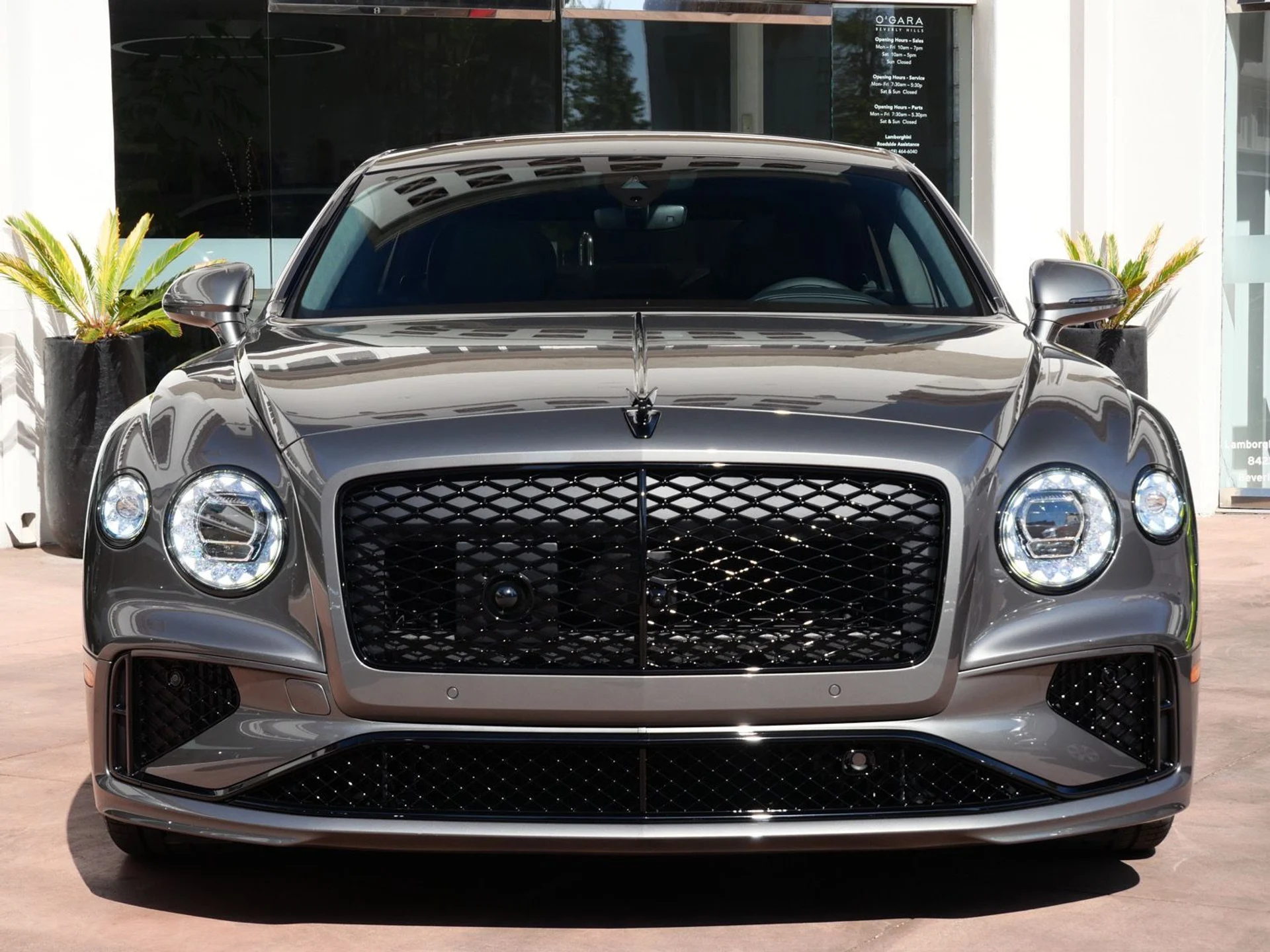 mph020_4216989885_cf1d249980af0f4133d8e4276de345c0x_d58faa9c15