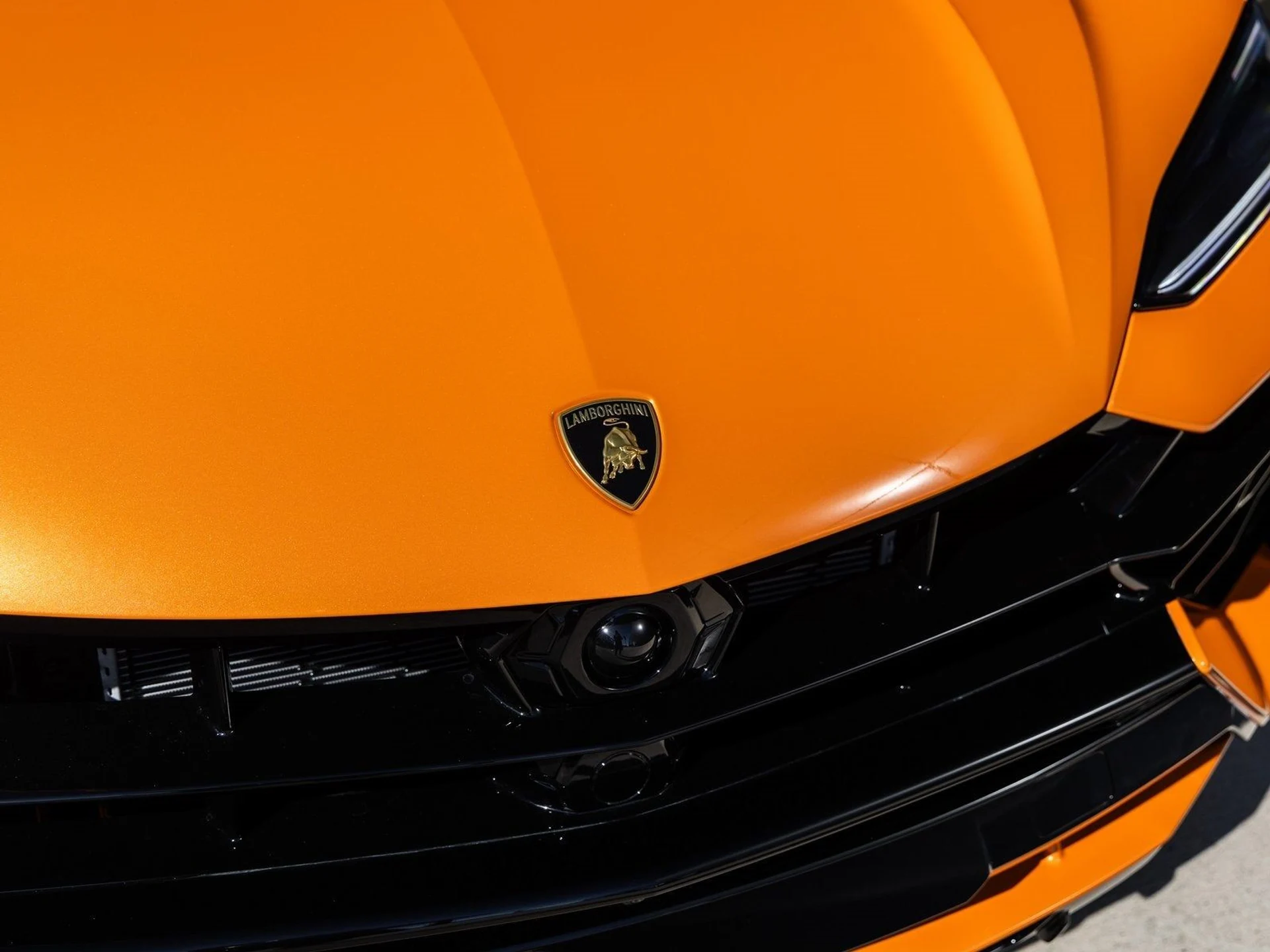 mph020_4239211808_21_26efac6653