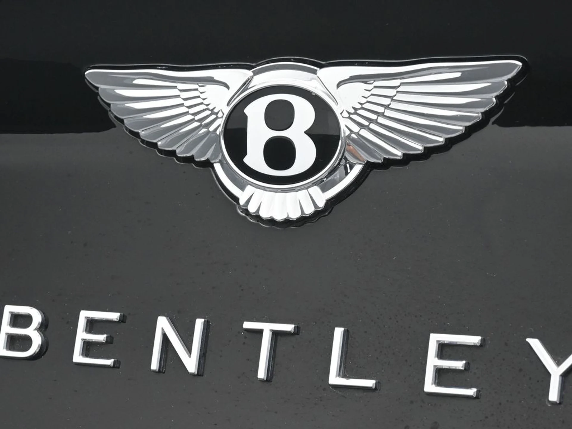 mph020_4242847510_5cdfd57cadfeed2027cf53fad393e013x_6c98159ce1