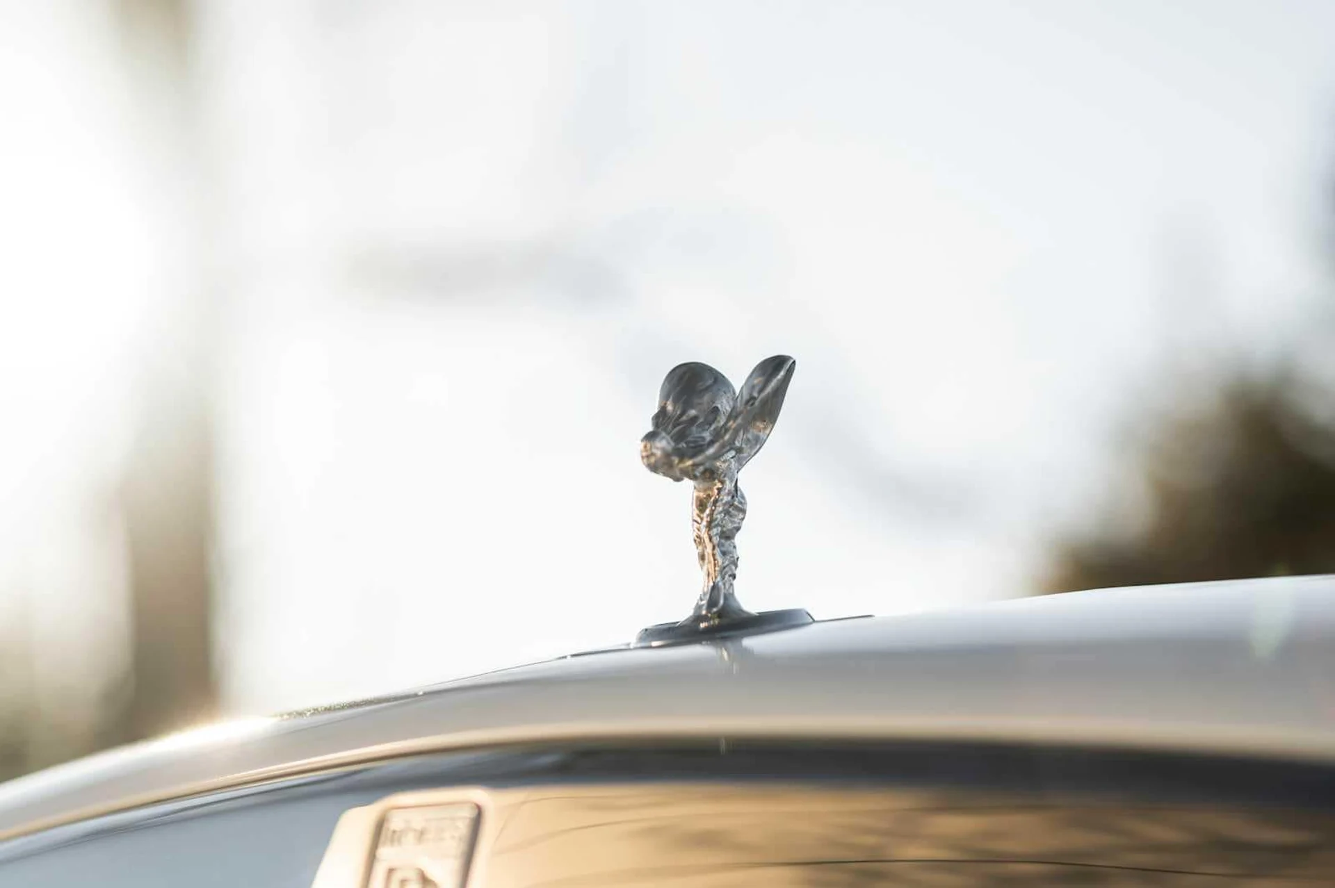 mph020_4278431649_dc1b15e4509e853d95b8c25f4c933ba2x_310dd051db