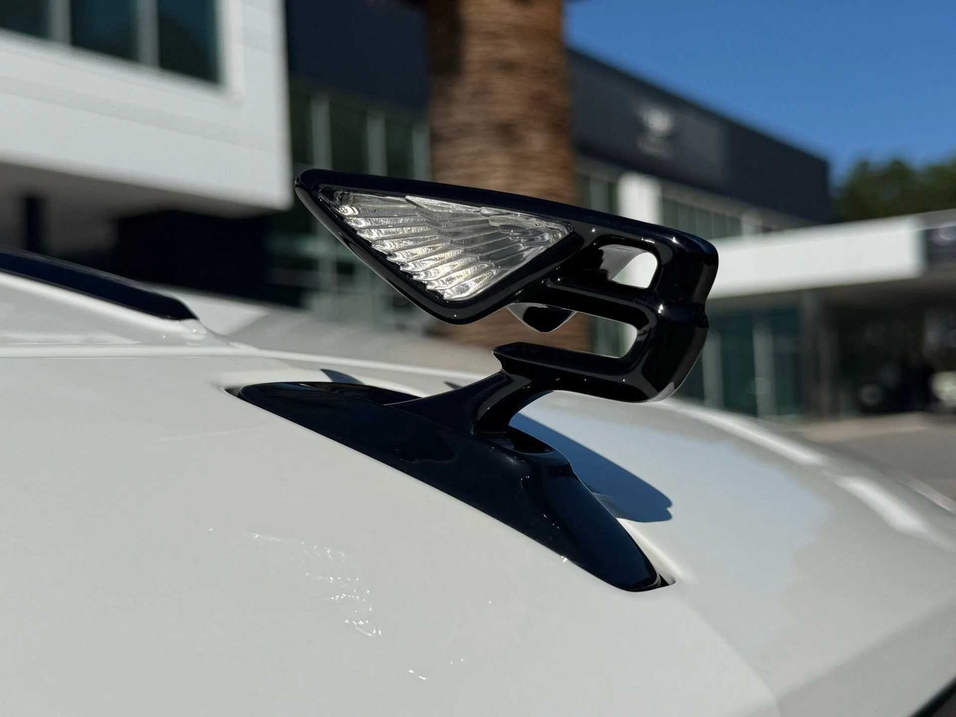 mph020_499913713_9f23d5378a2a44f78c6df71078c62729_8606cc9dc6