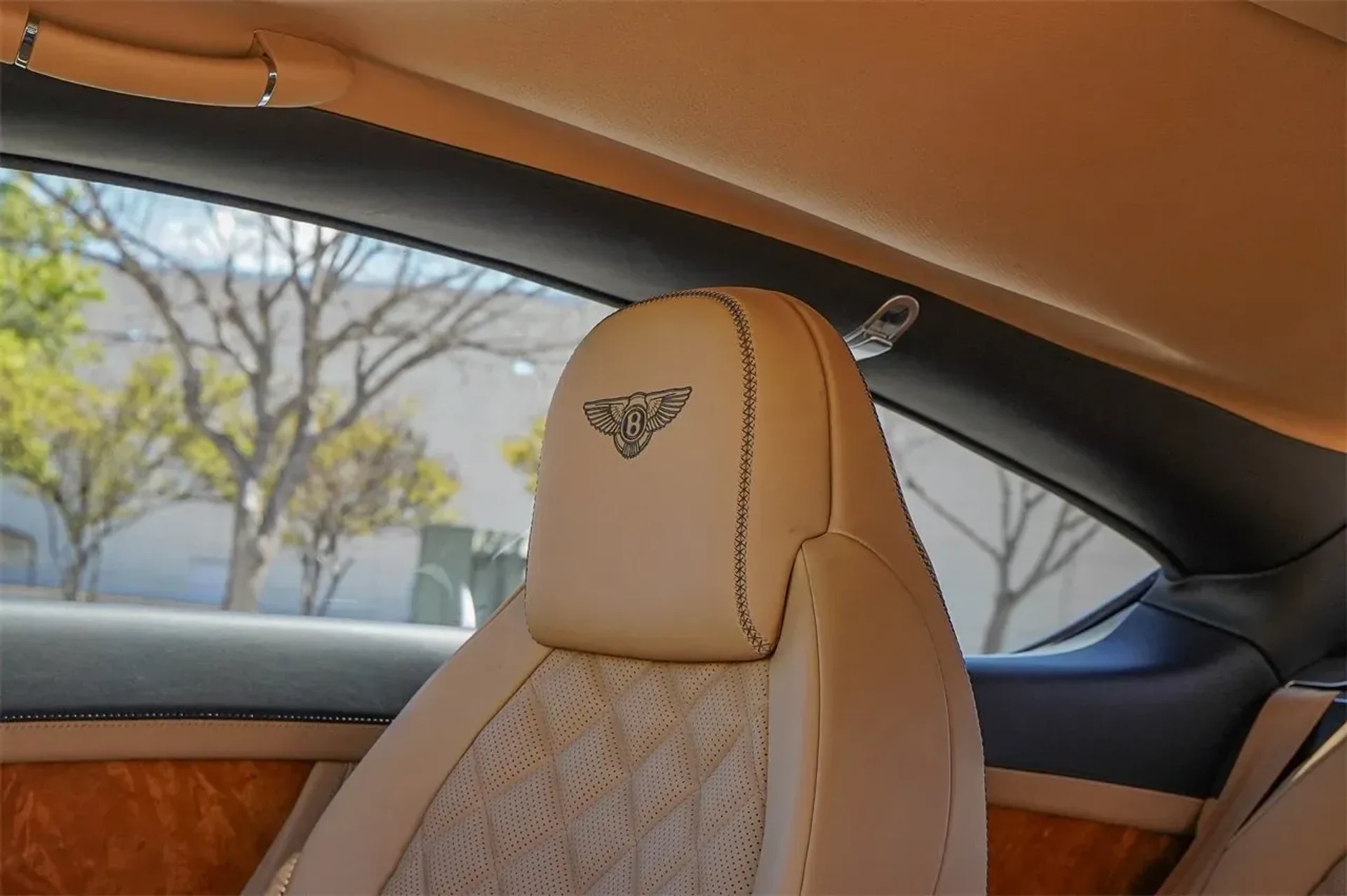 mph020_563532724_8b36929f2a7f42289a8f3075d98c59f6_cd62e78781