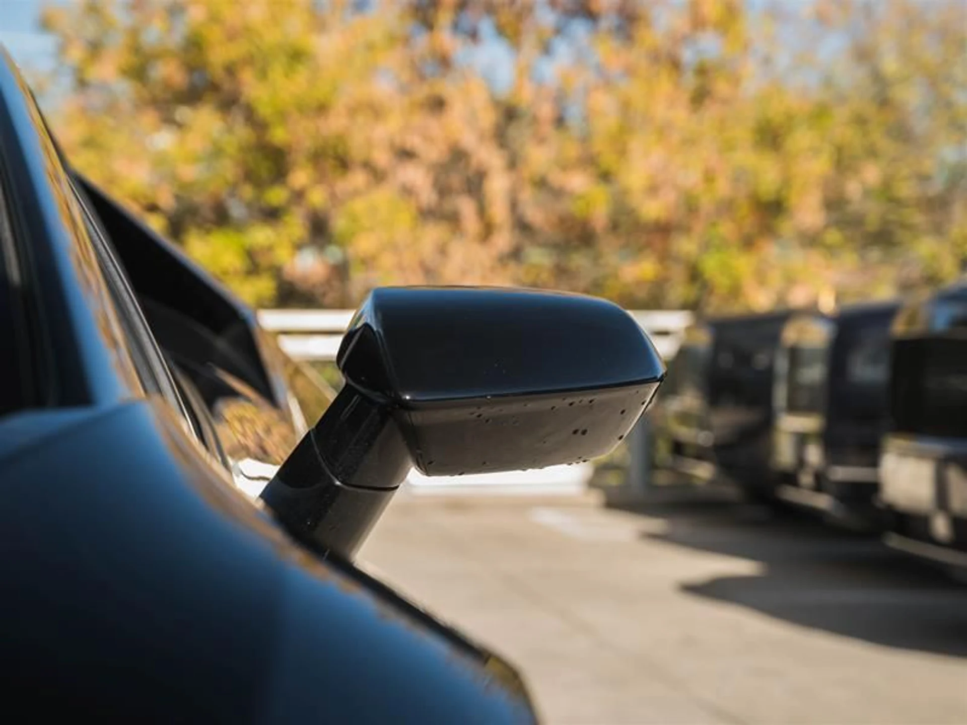 mph020_698391323_qtwqx4yb_ad9f5e3fa4