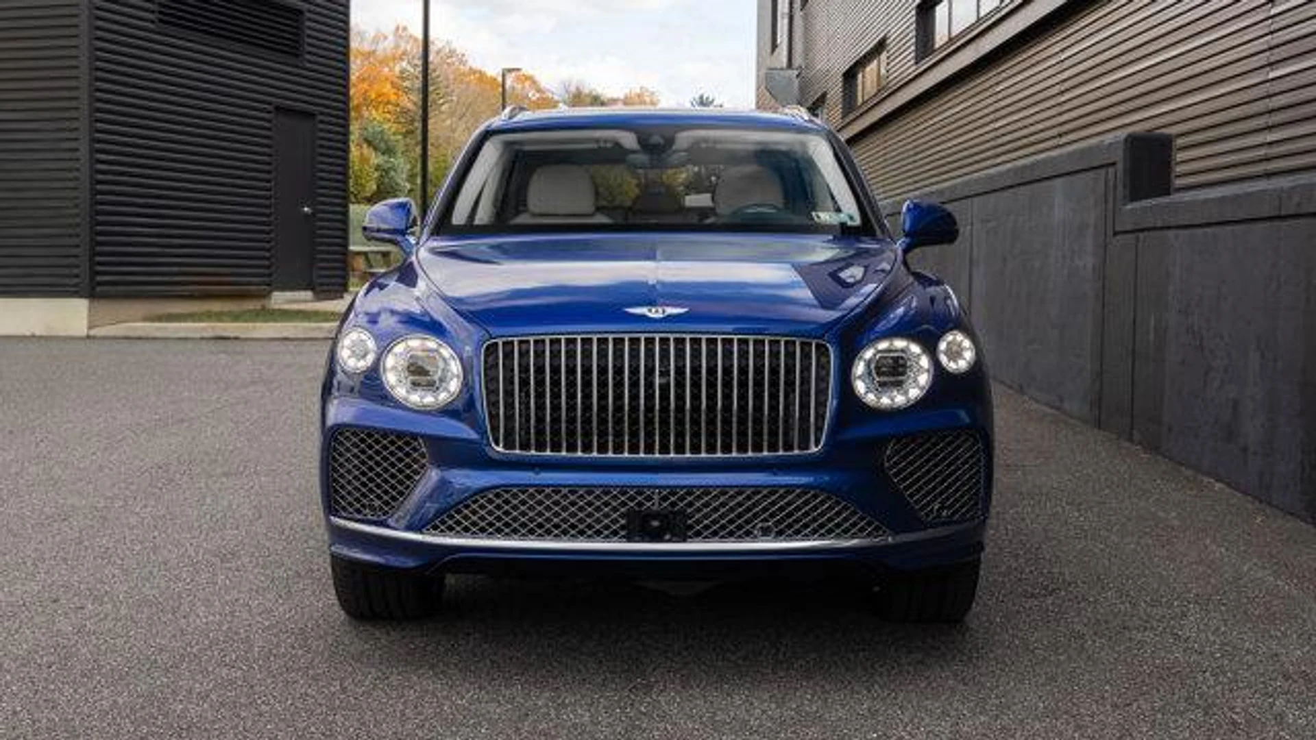 mph021_108307236_h_Ny5_Ddce_0_ed_Zz5nej_YQI_4oy5s_997bea535d