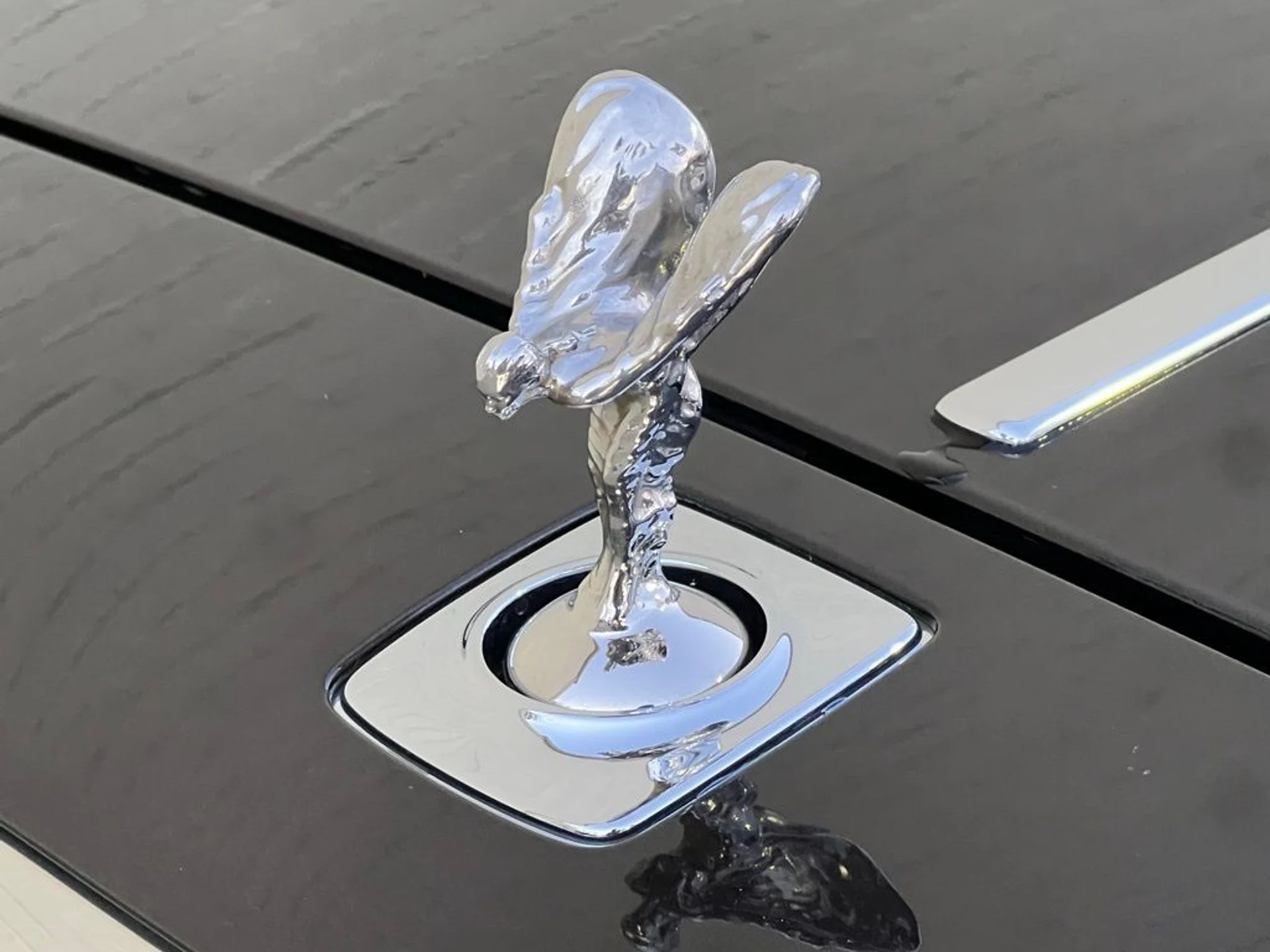 mph021_1139199552_ec2e467d449e8dd86400bf375a121698x_a51107bb72