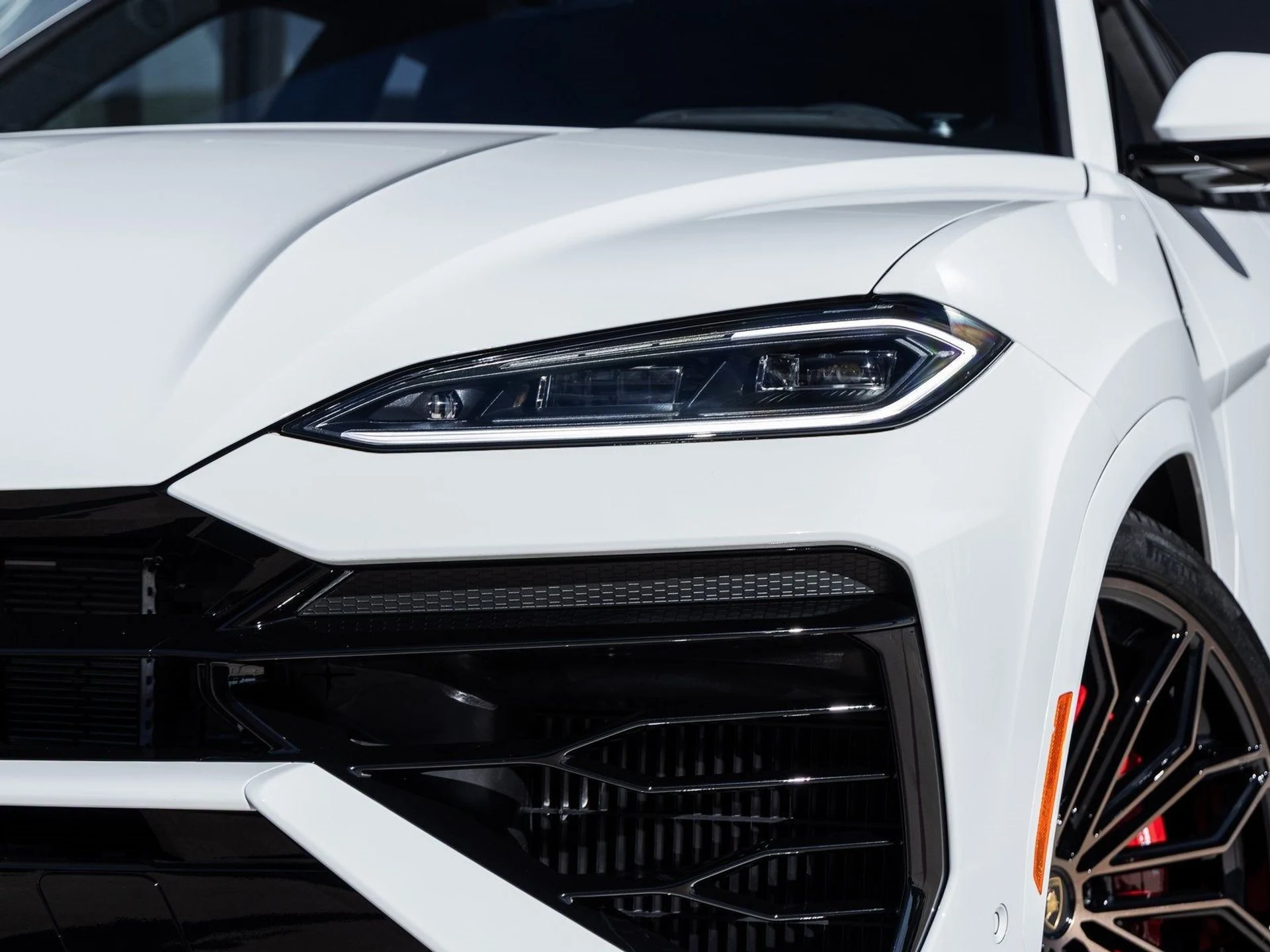 mph021_1190036001_22_20d1e3799b