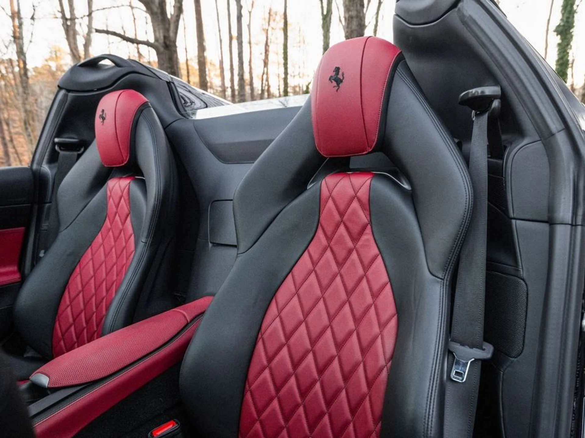 mph021_1243726376_28c62f38_e2e8_4ff5_81da_aeaa5aa8335d_d02870b084