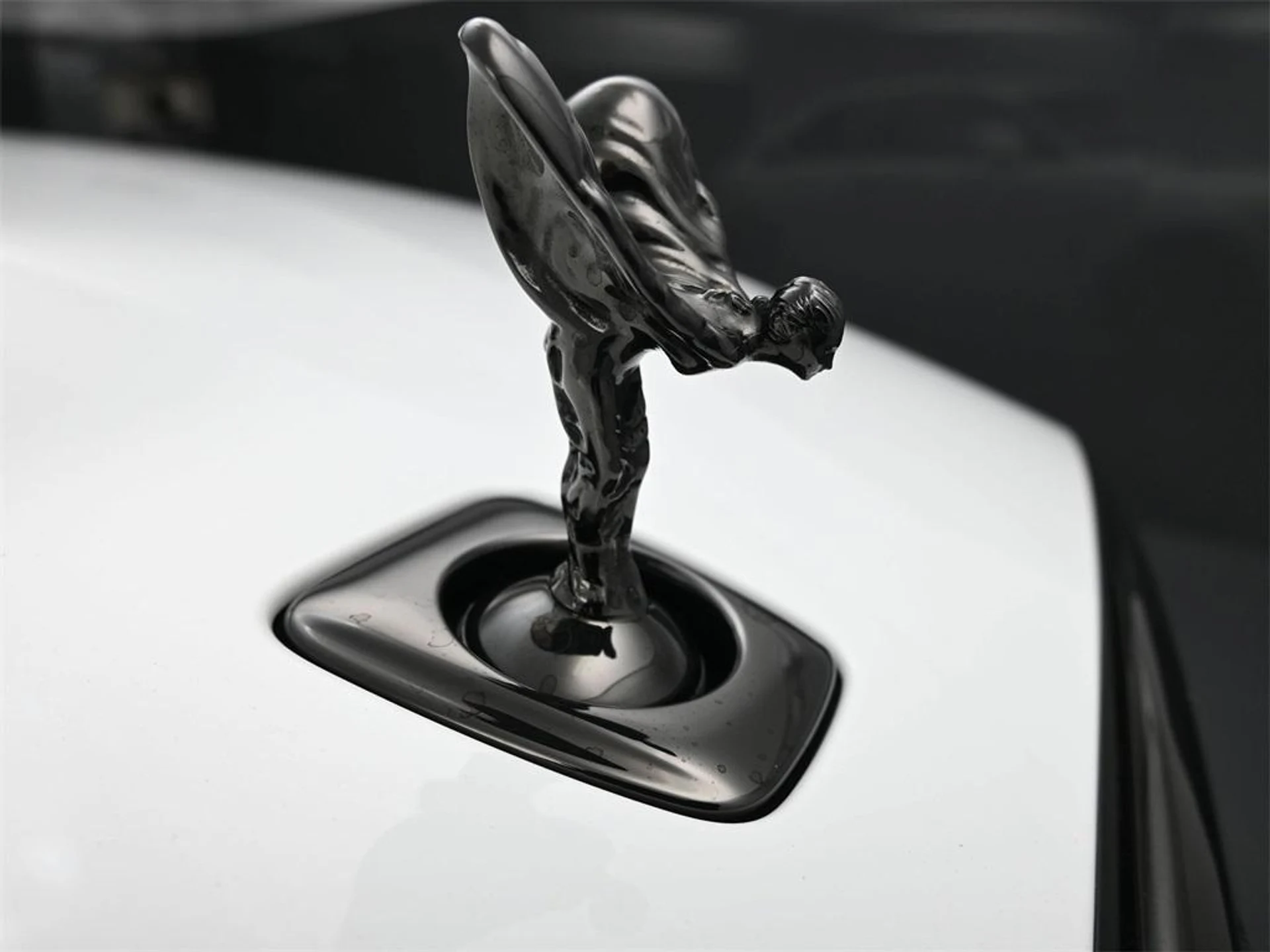 mph021_1279057774_jsa_K3iex_V_Ts_SJ_5x_Z_Mu12xl_Af_O5o_27ebf71c95