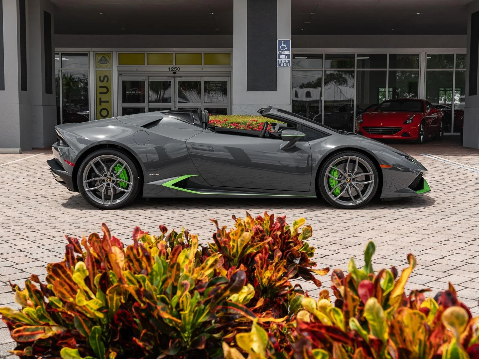 mph021_1326990080_Used_2016_Lamborghini_Huracan_LP_610_4_Spyder_1756498244_c78a1ae308