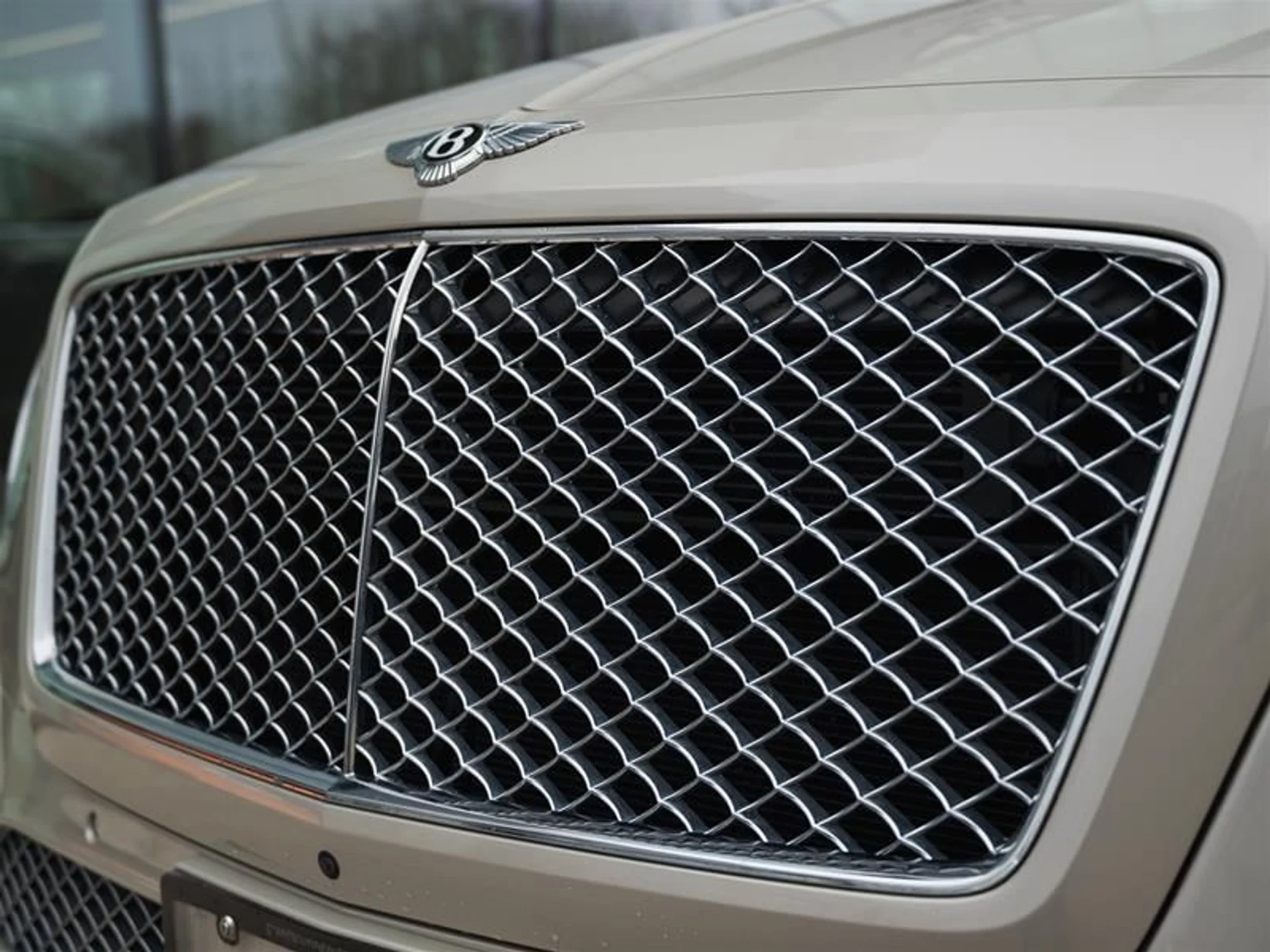 mph021_1353556434_1hhasvan_c36a835b2e