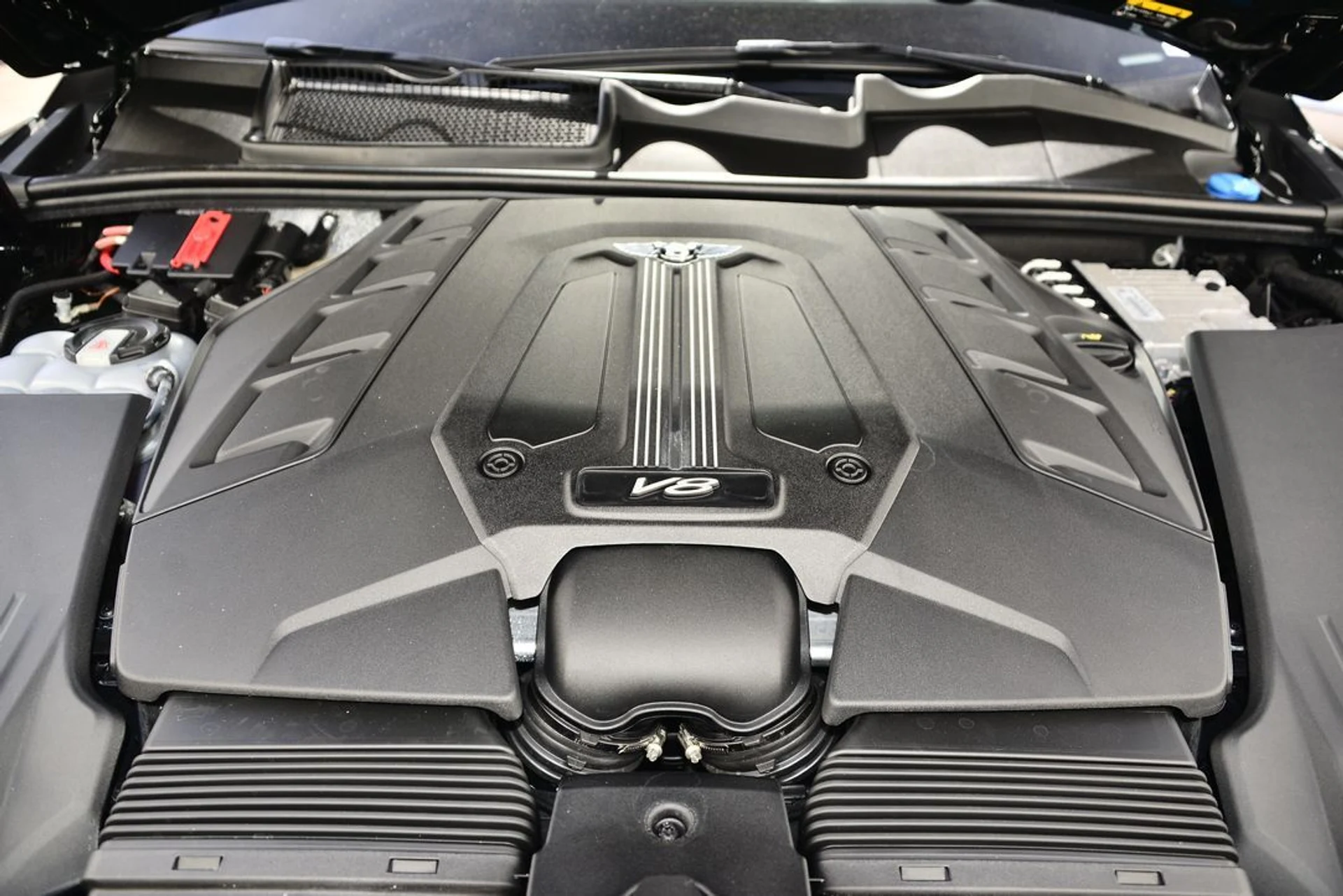 mph021_1548405613_06f5e7b6df39ef007d6627807019669bx_77db39fcdb